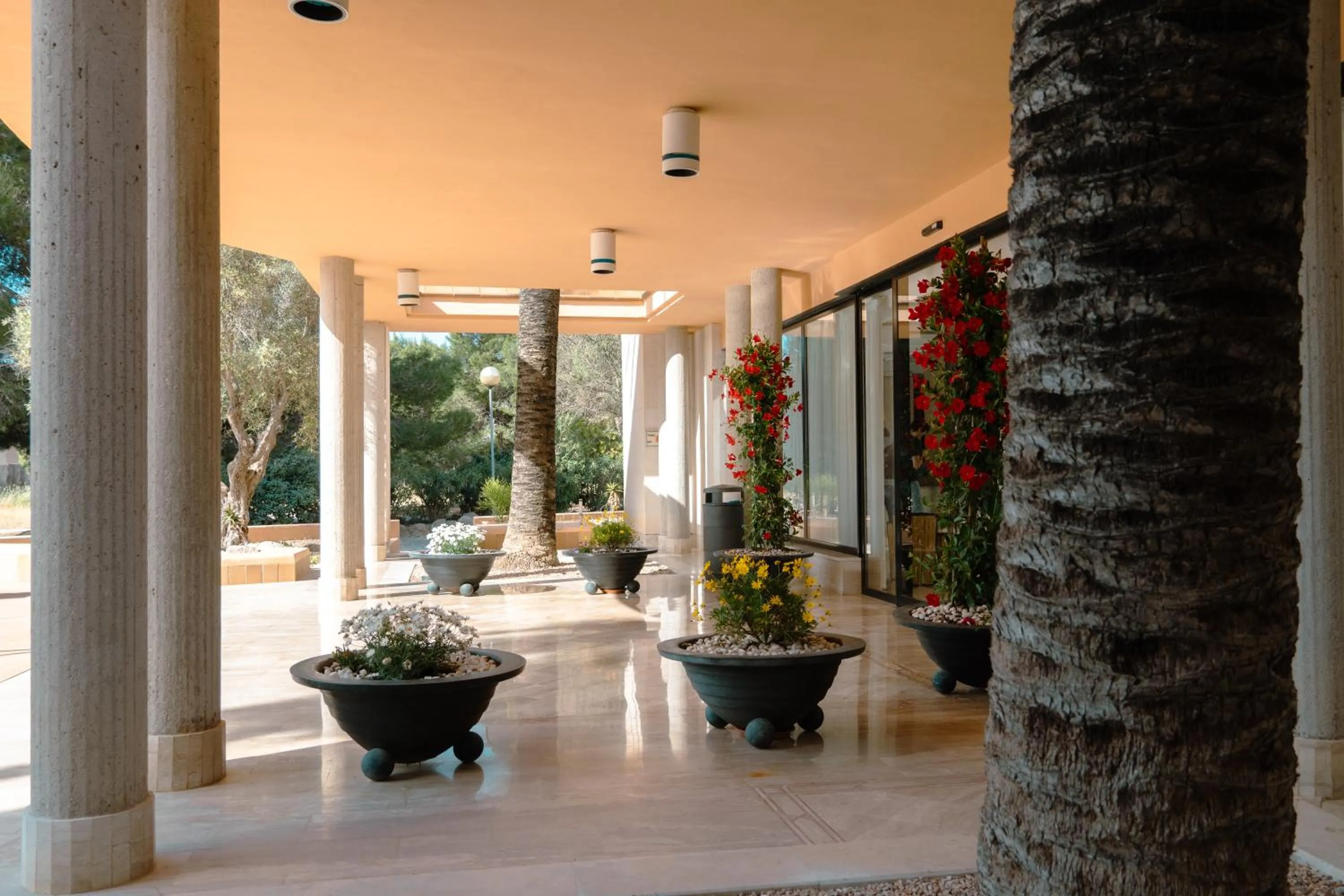 Property building in Rosamar Ibiza Hotel