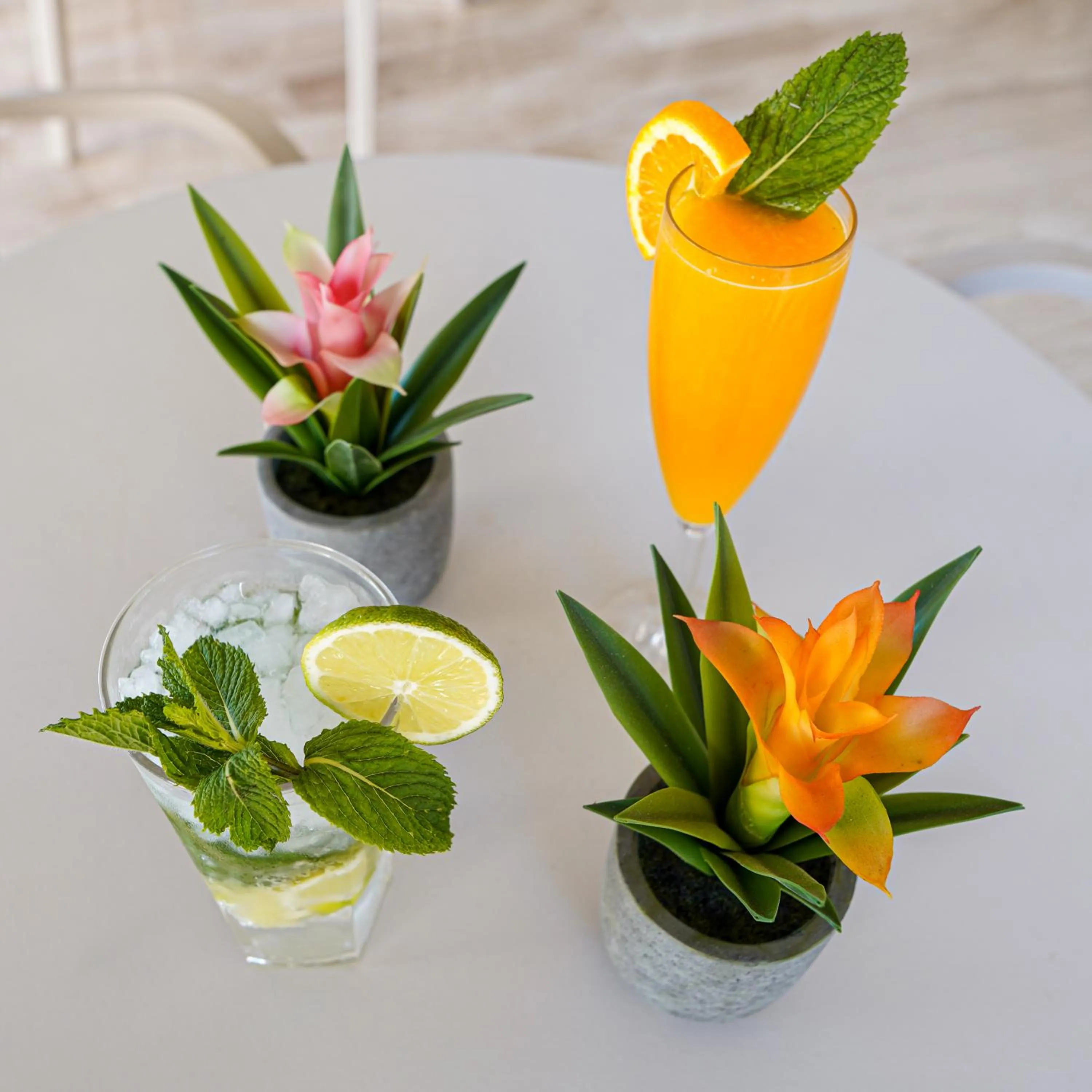 Food and drinks in Rosamar Ibiza Hotel