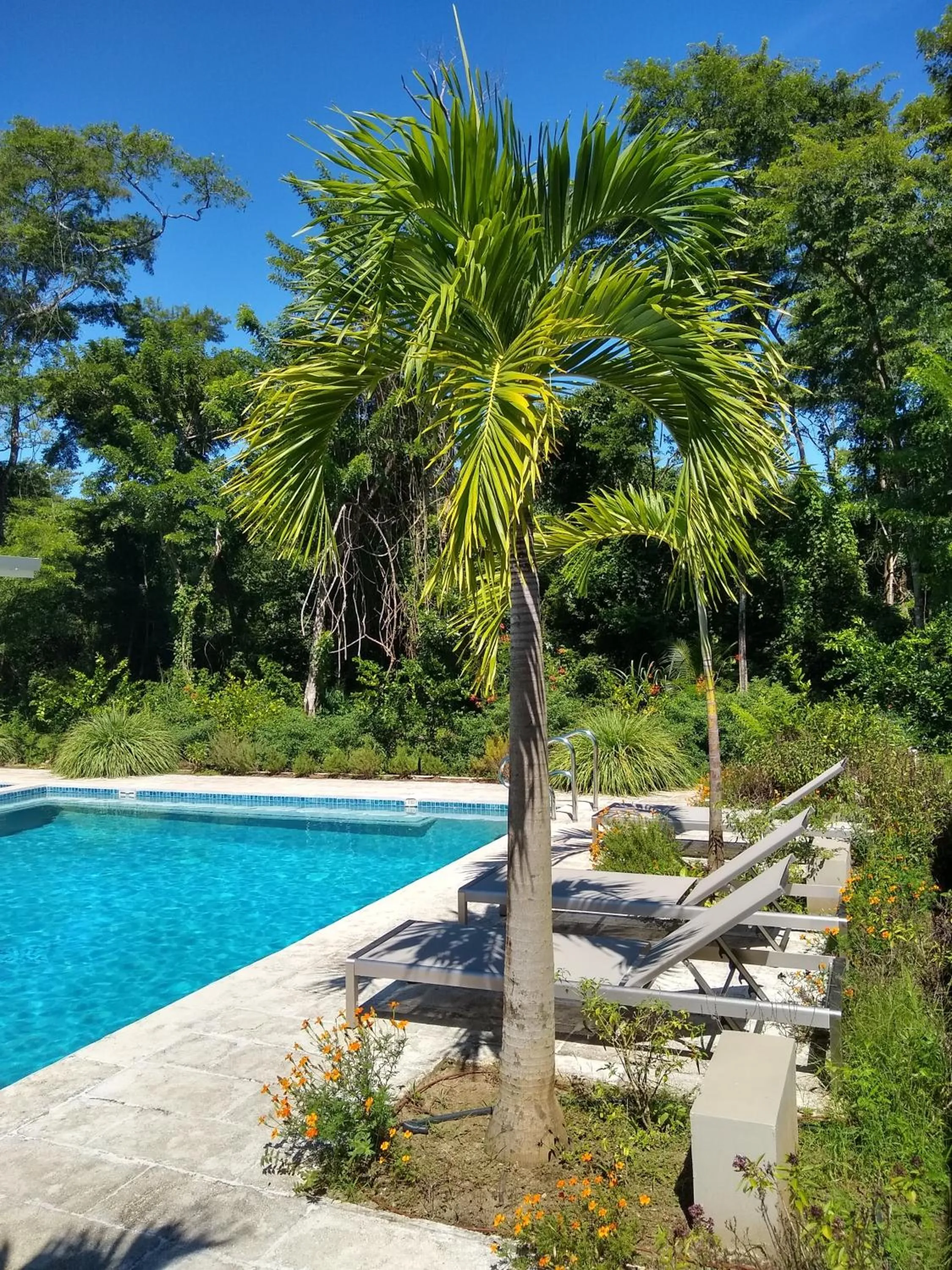 Day in Palm Beach Inn