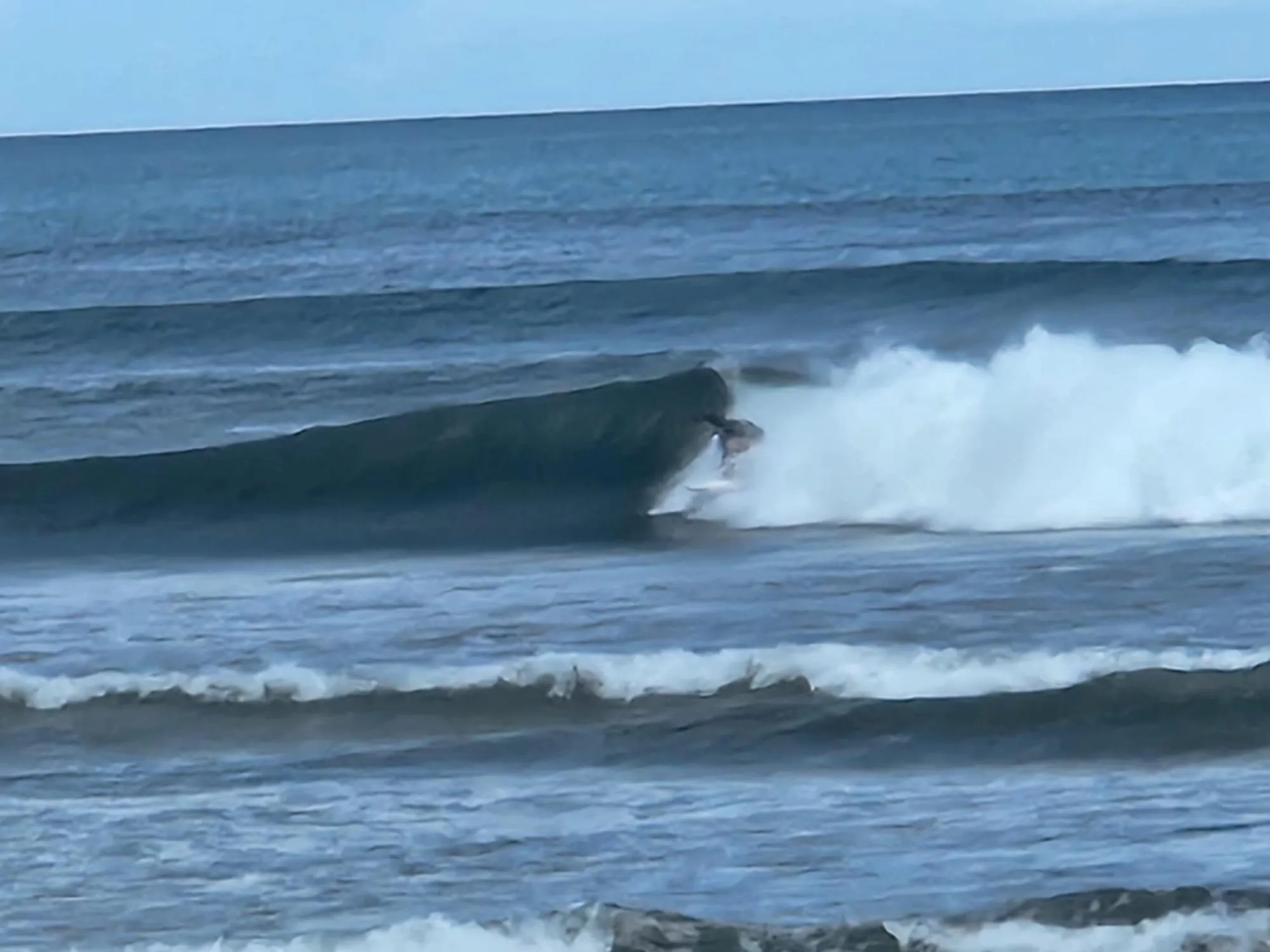 Activities in Palm Beach Inn