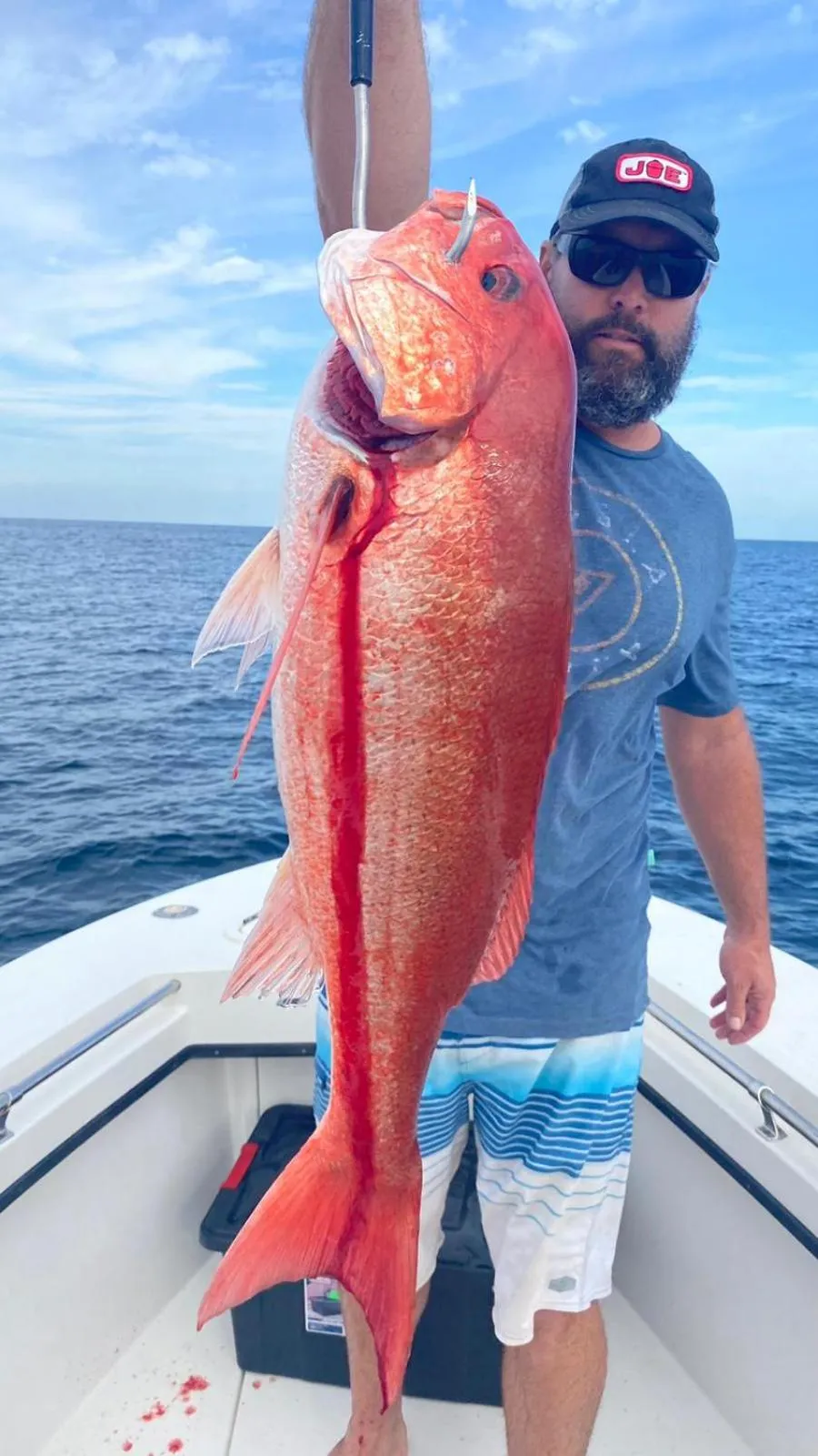 Activities in Palm Beach Inn