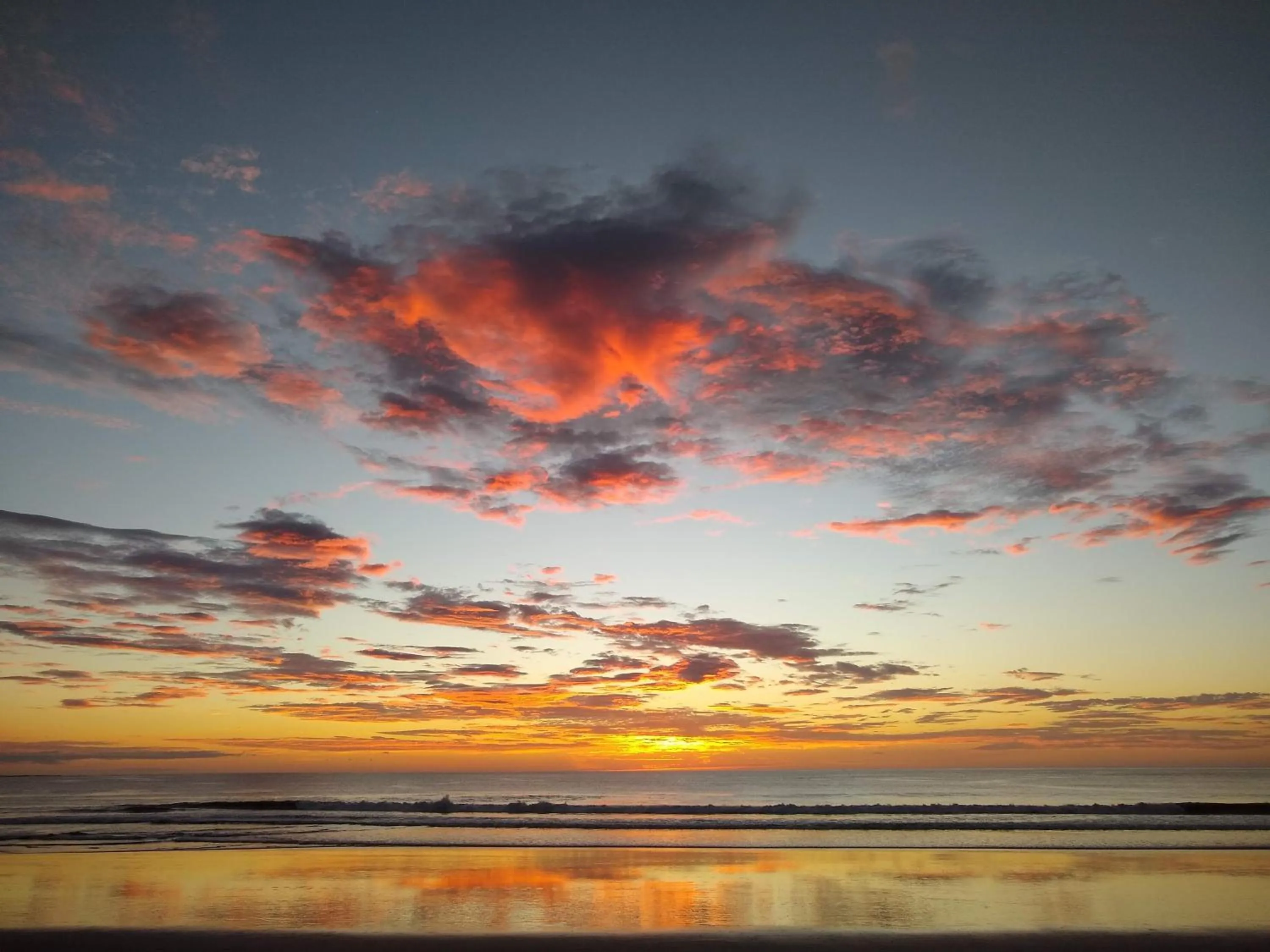 Natural landscape in Palm Beach Inn