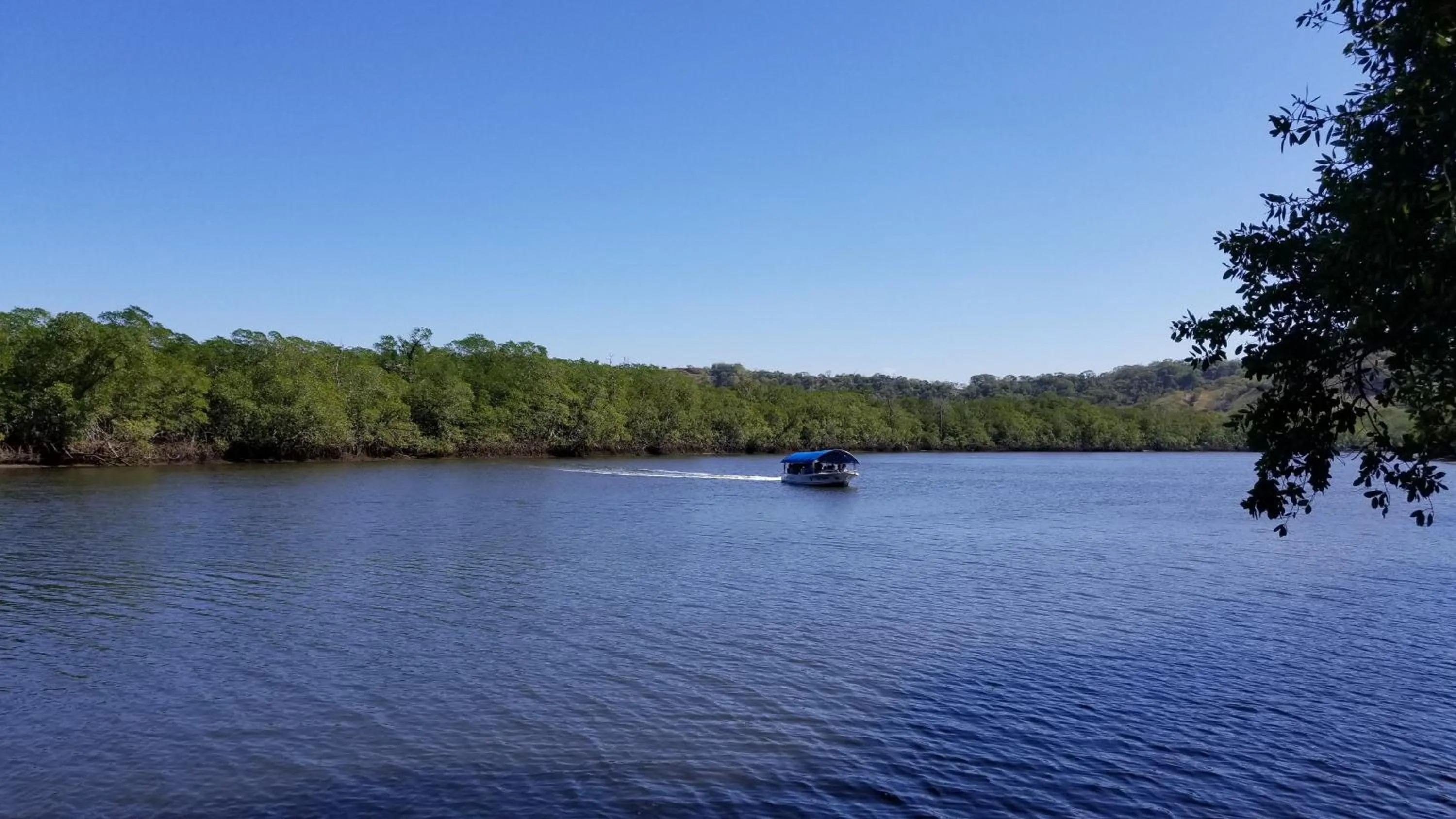 Day in Palm Beach Inn