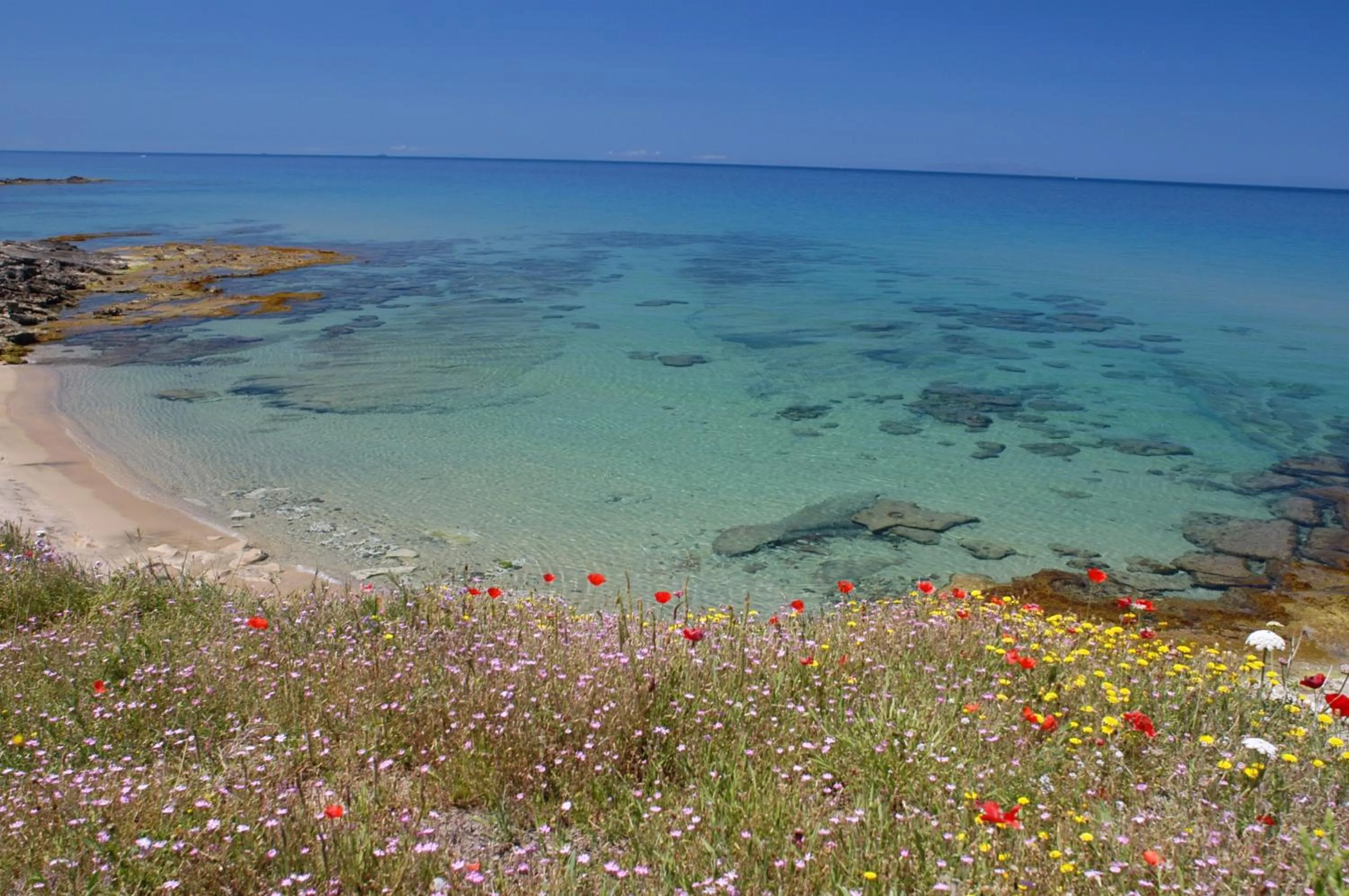 Natural landscape in Best Western Hotel Blumarea
