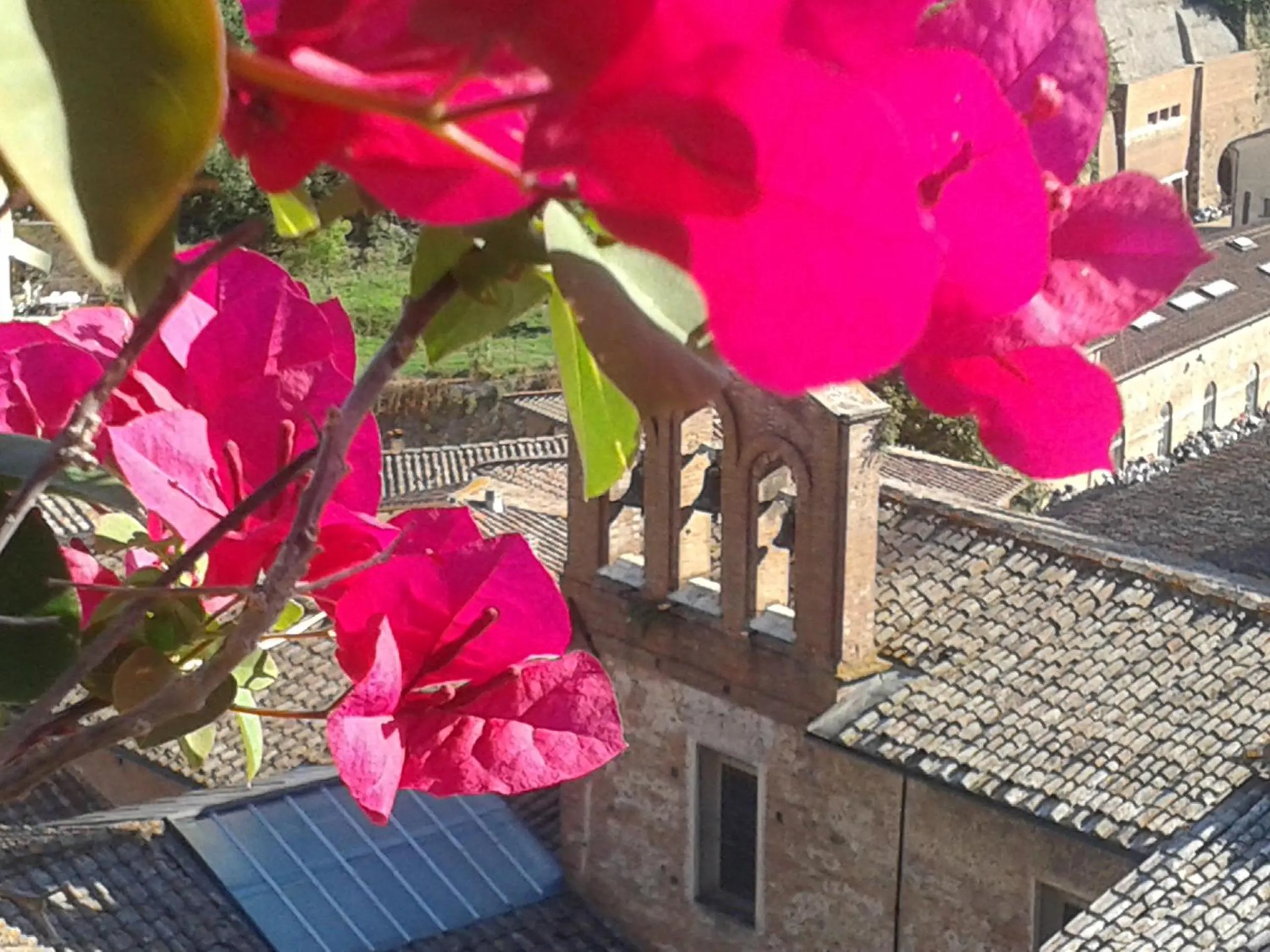 Summer in Residenza d'Epoca Campo Regio Relais