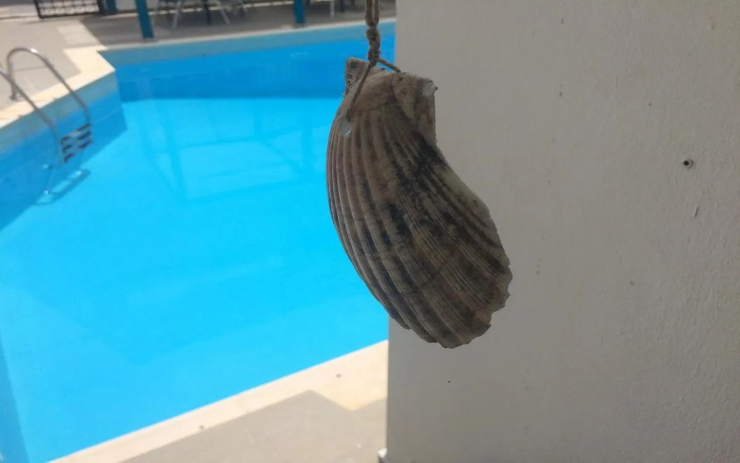 Swimming pool in Renia Hotel Agia Pelagia -Crete