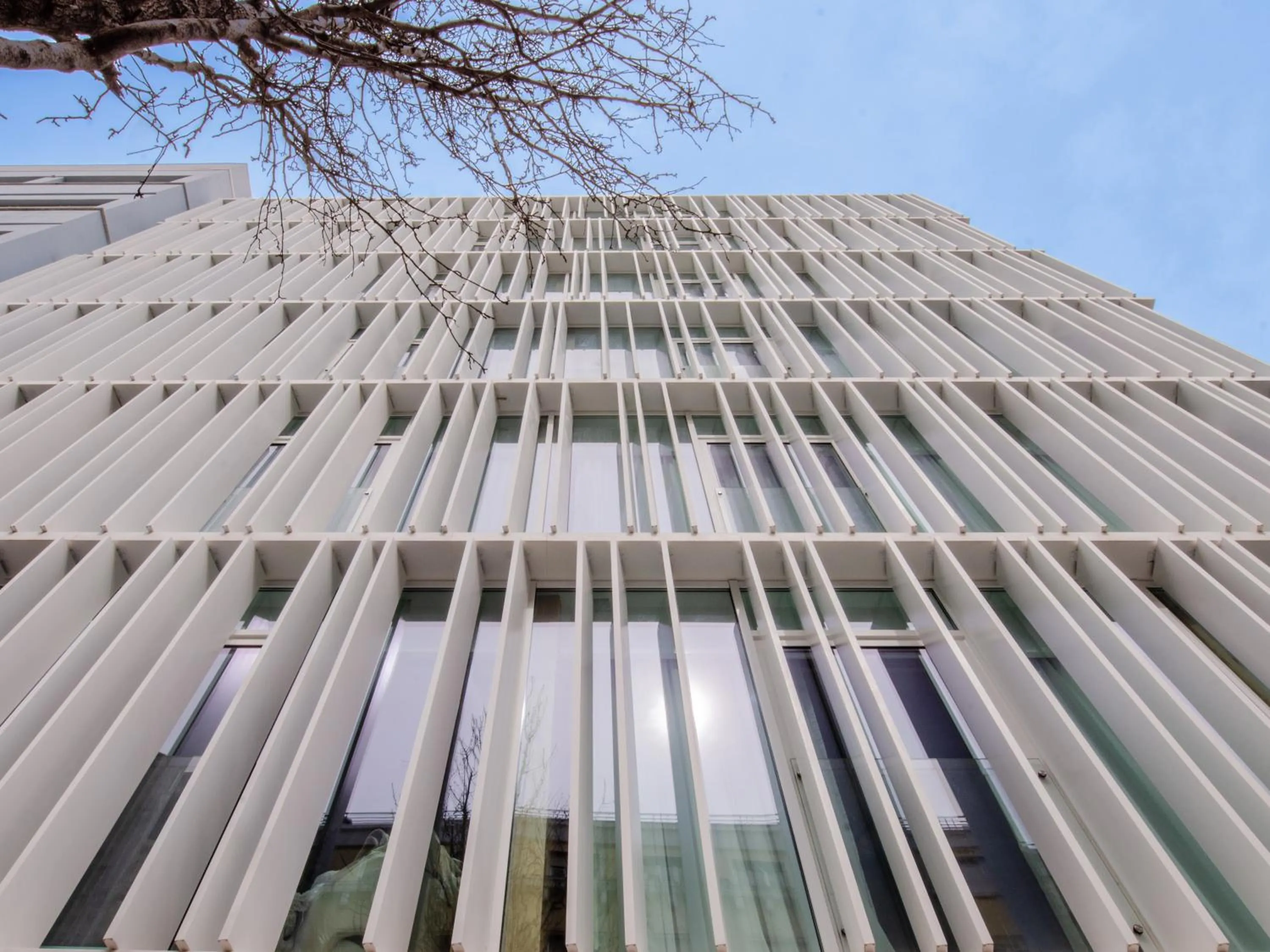 Property building in Browns Avenue Hotel