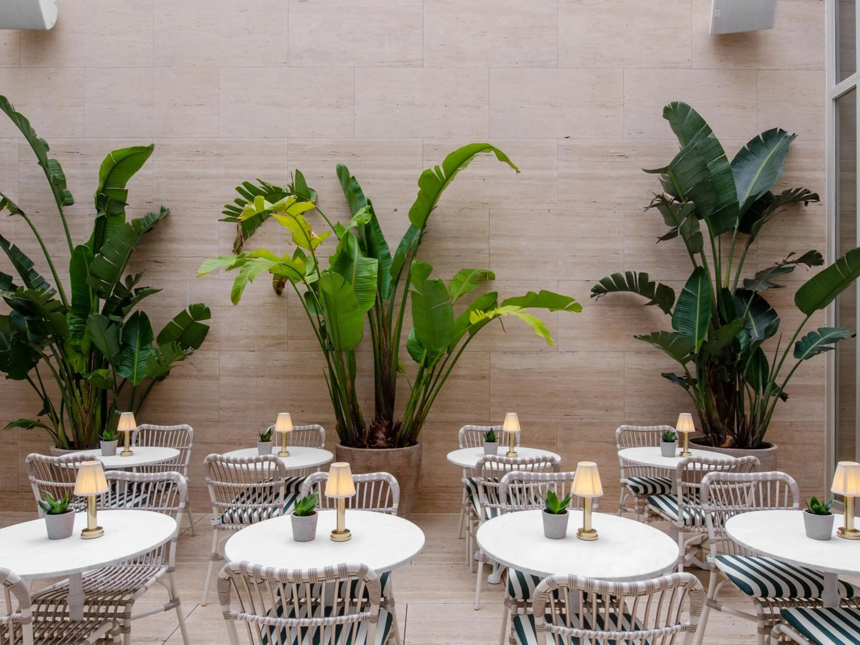 Patio in Browns Avenue Hotel