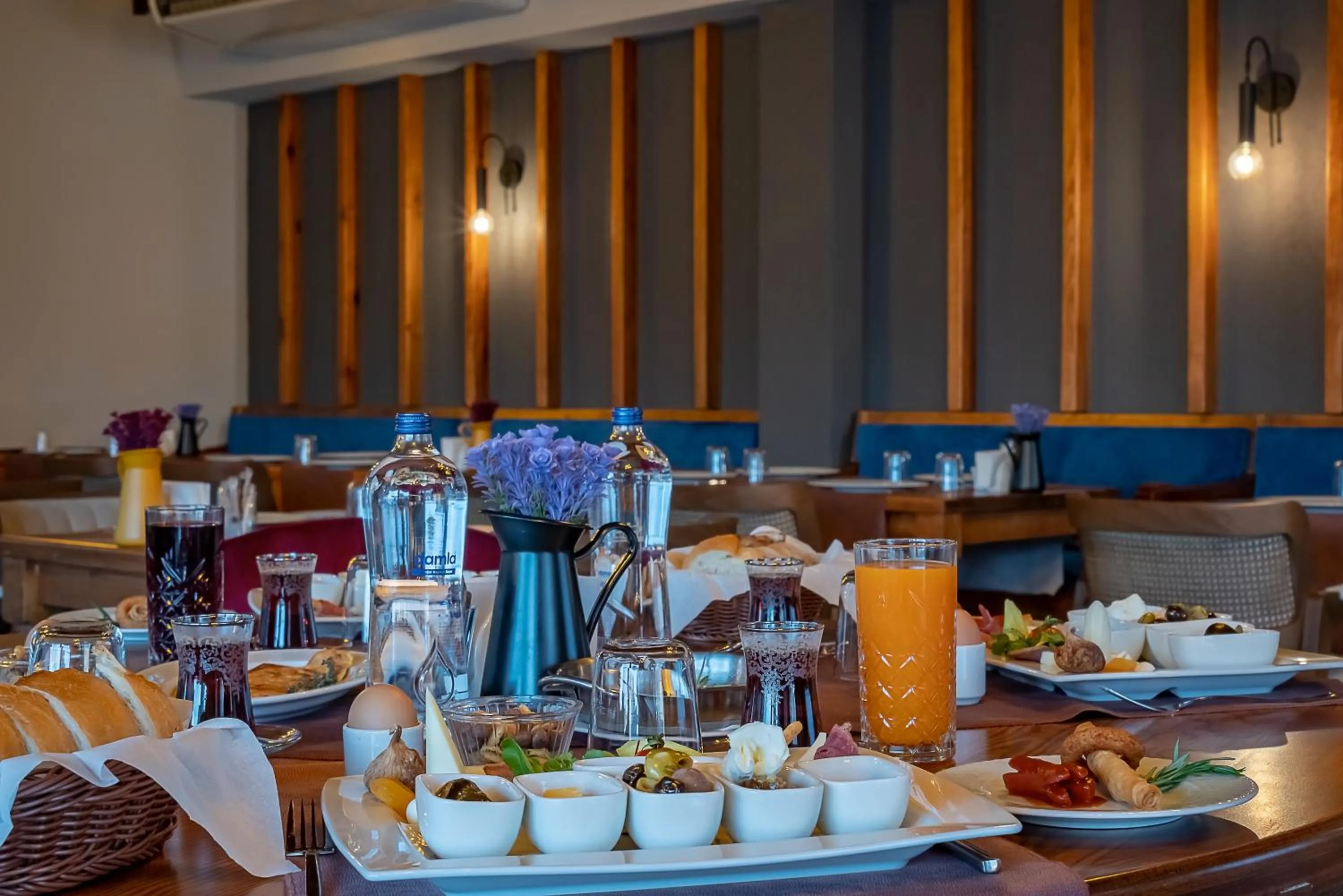 Food and drinks in ERTA SOYAK THERMAL OTEL