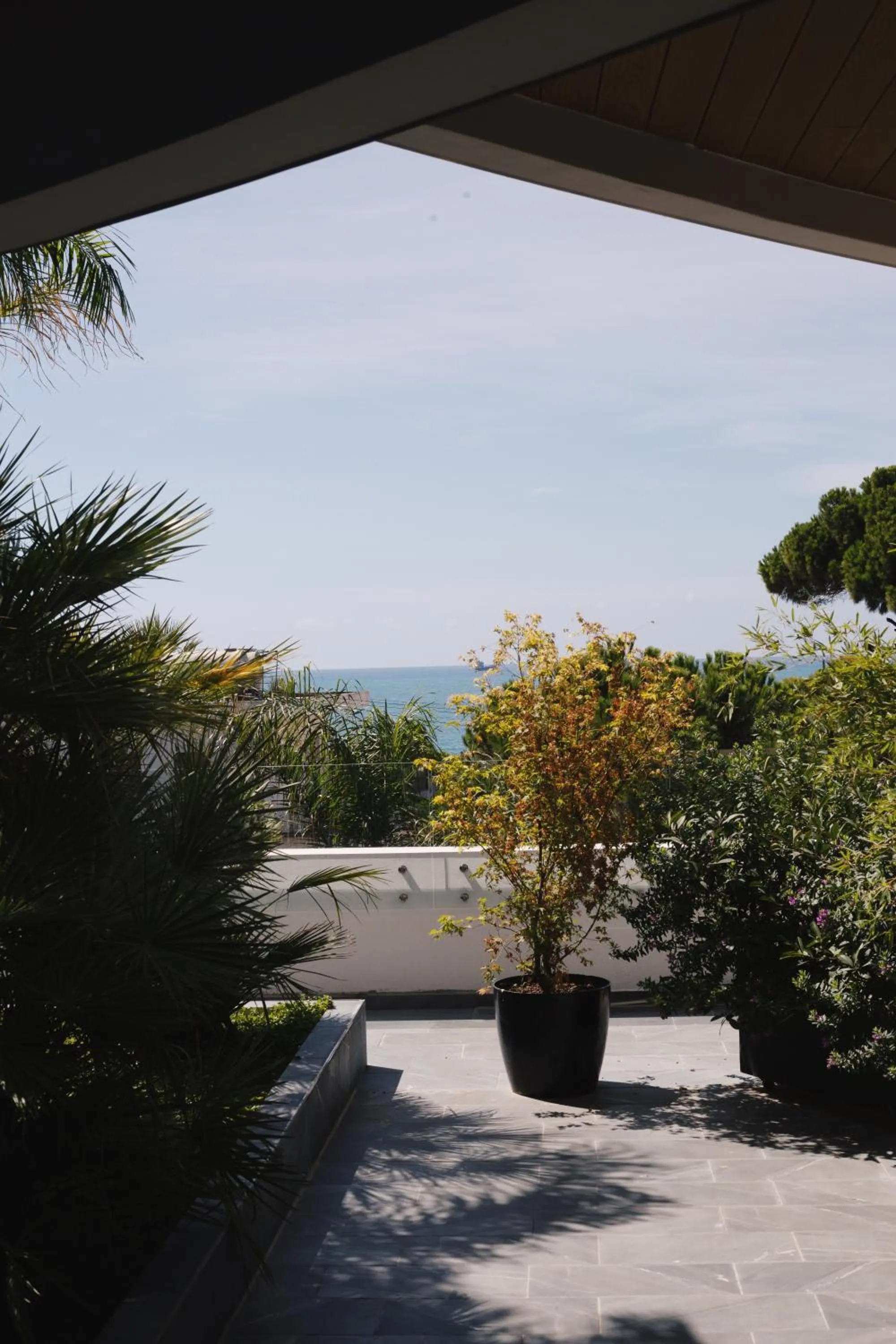 Balcony/Terrace in White Hill Hotel, SPA & Conferences