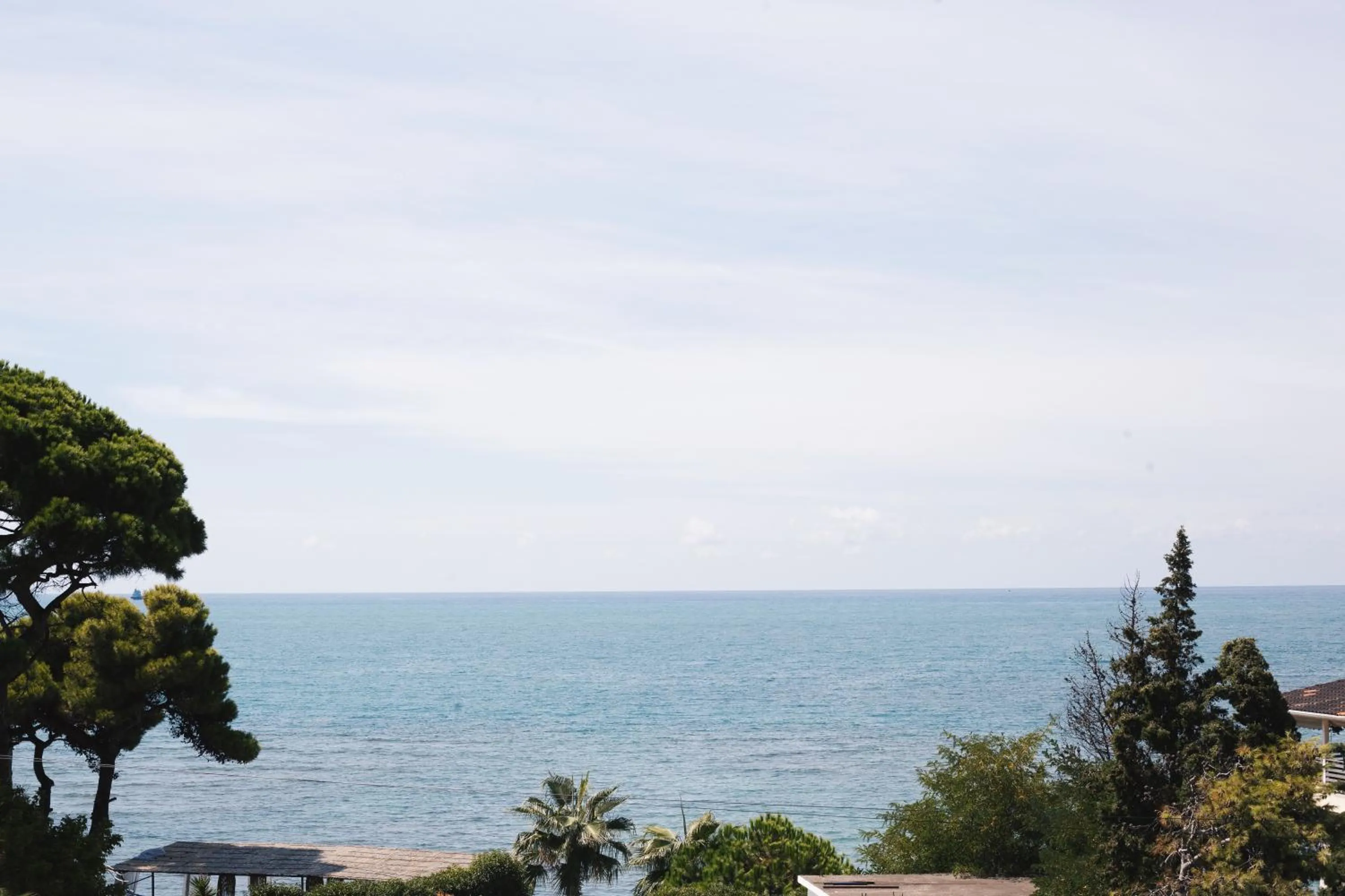 Beach in White Hill Hotel, SPA & Conferences