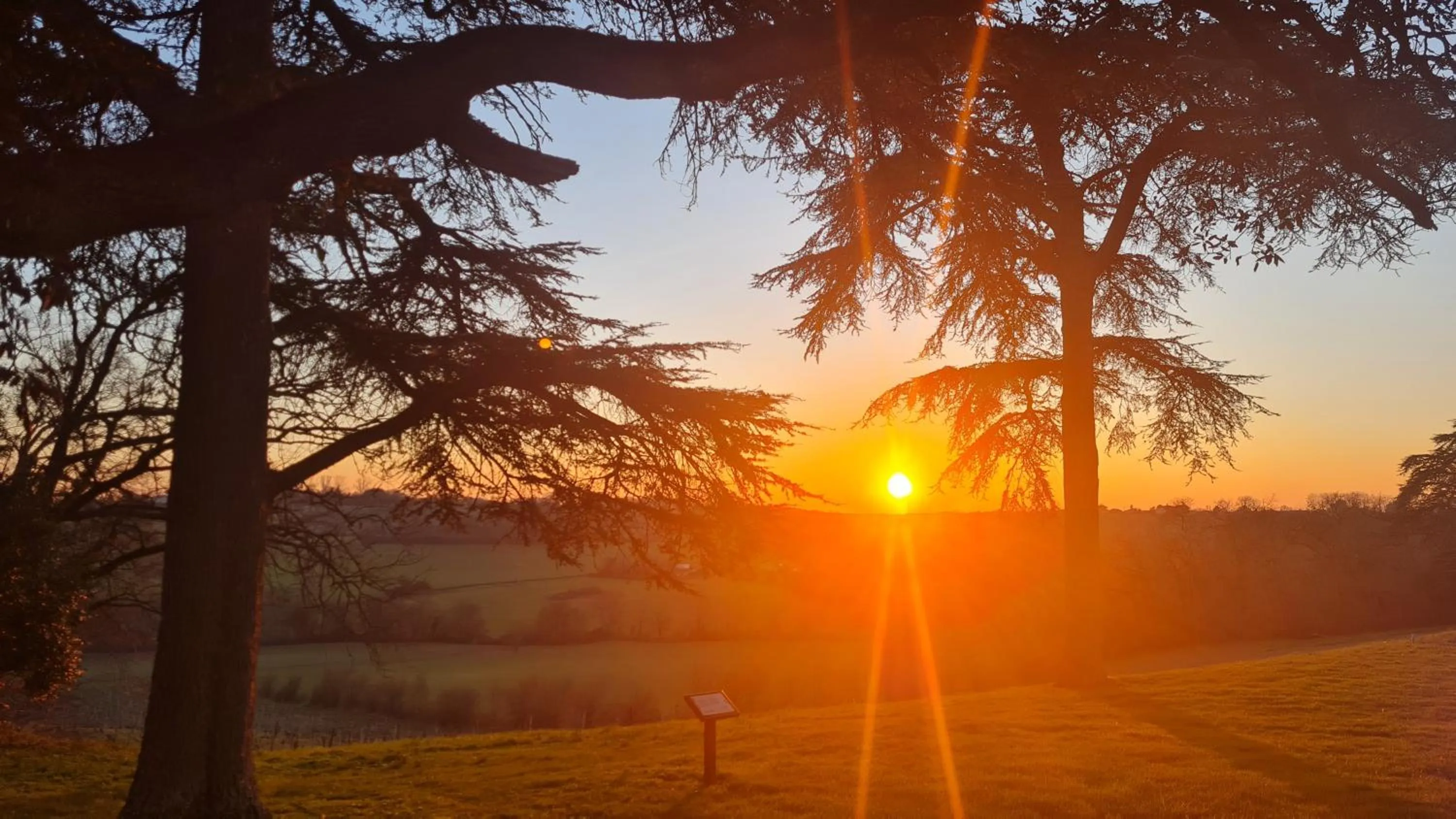View (from property/room) in Château de Mons Armagnac