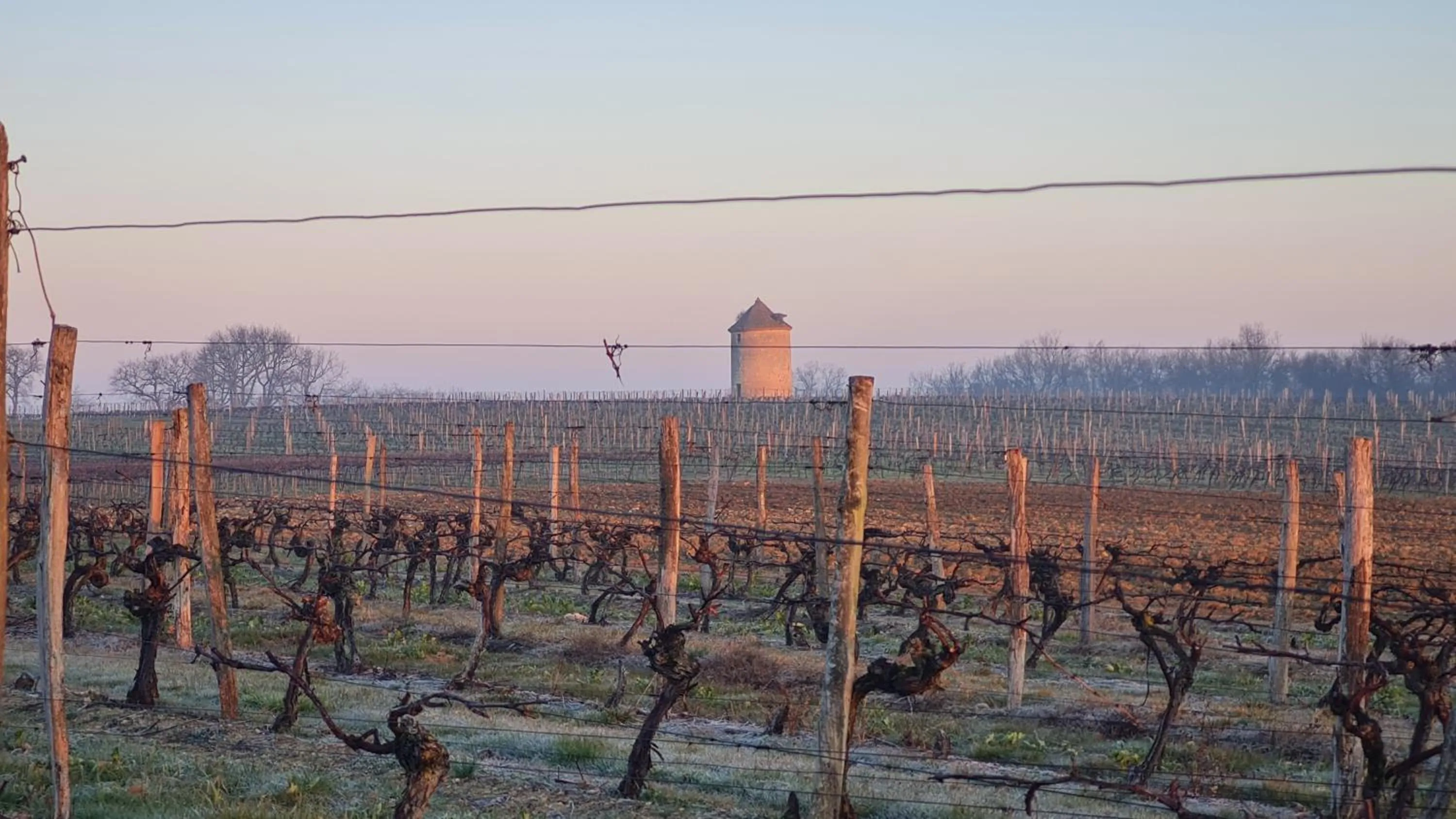 View (from property/room) in Château de Mons Armagnac