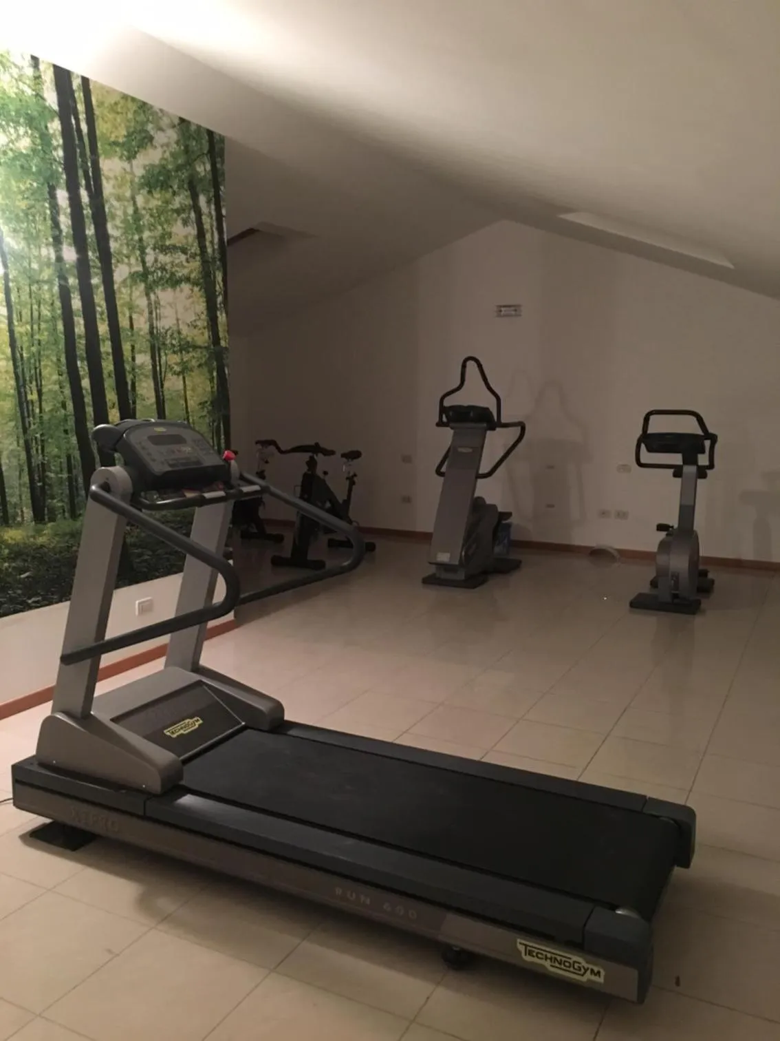 Fitness centre/facilities in Hotel Tre Ville