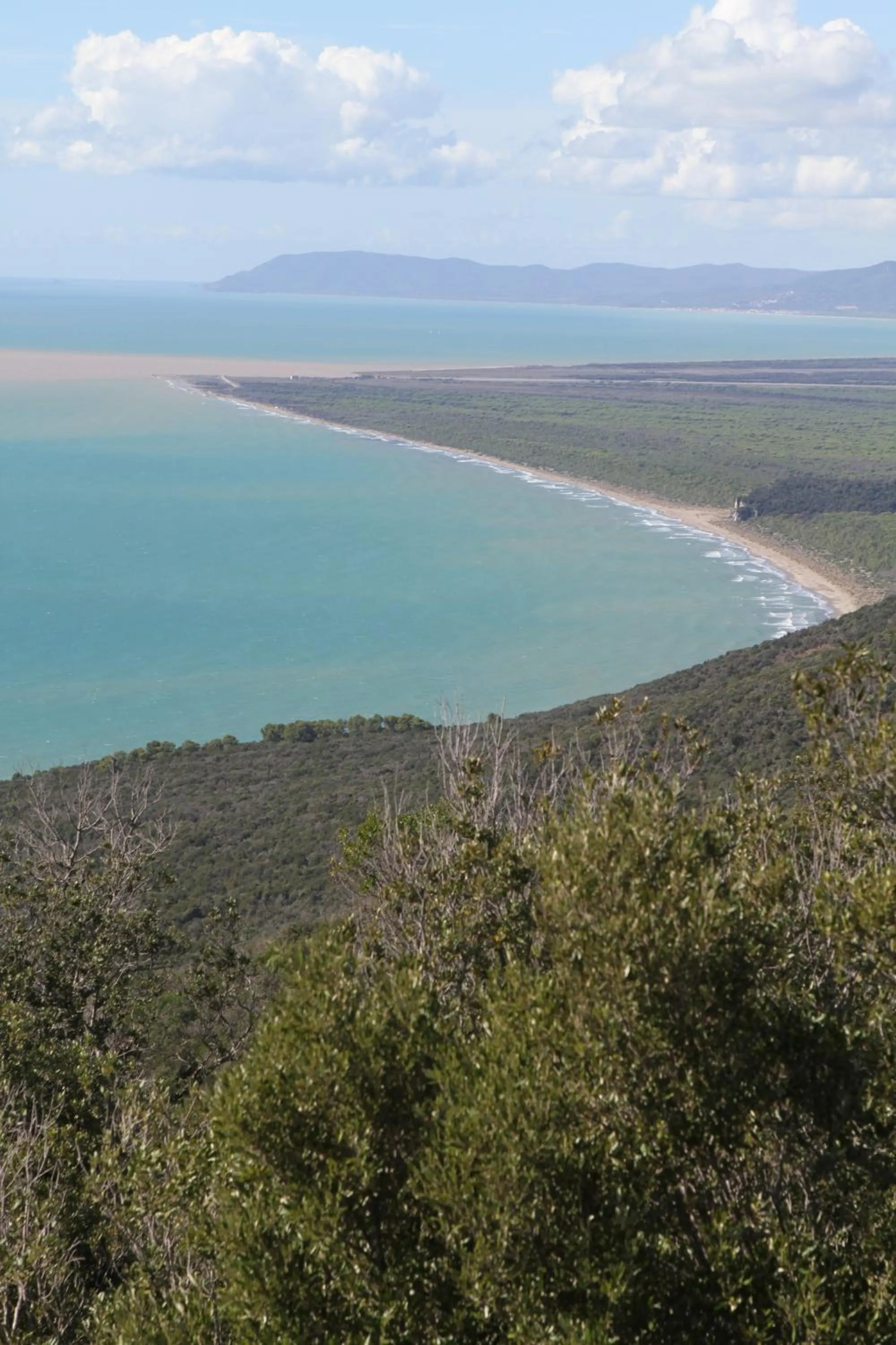 Natural landscape in Tenuta Agricola dell'Uccellina