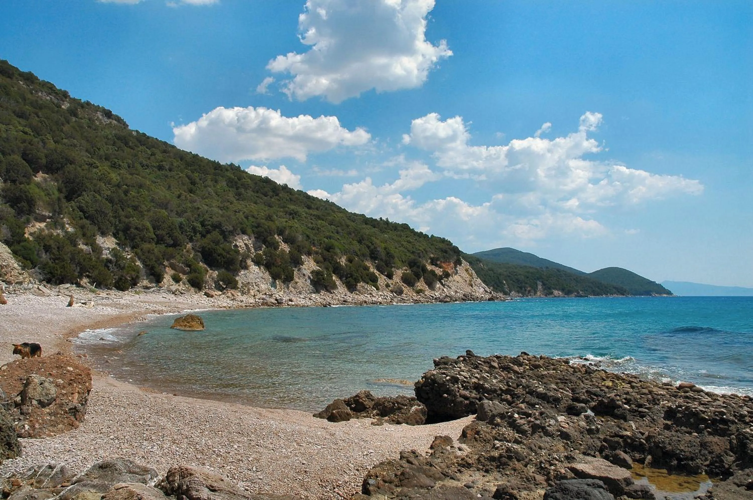 Natural landscape in Tenuta Agricola dell'Uccellina