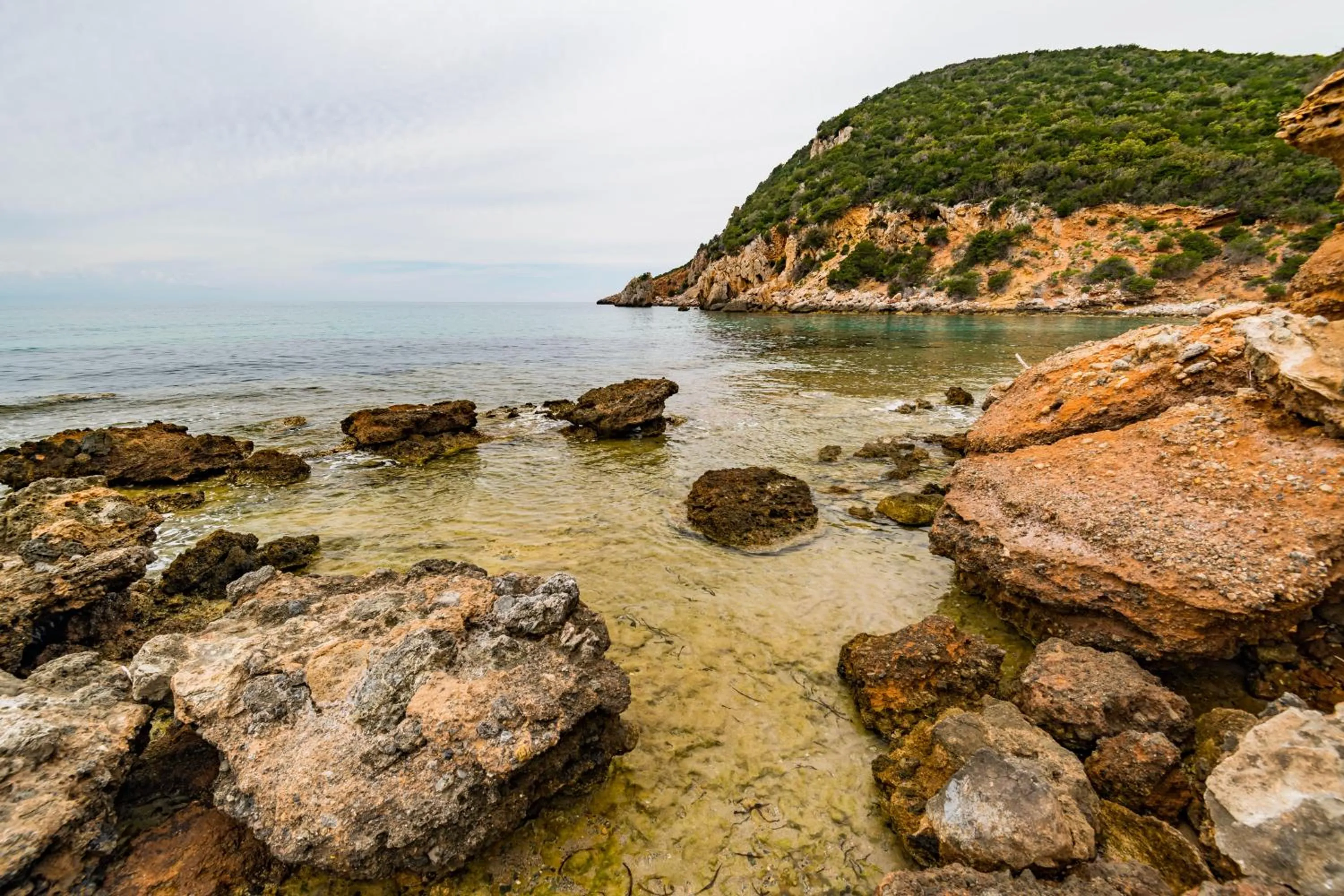Natural landscape in Tenuta Agricola dell'Uccellina