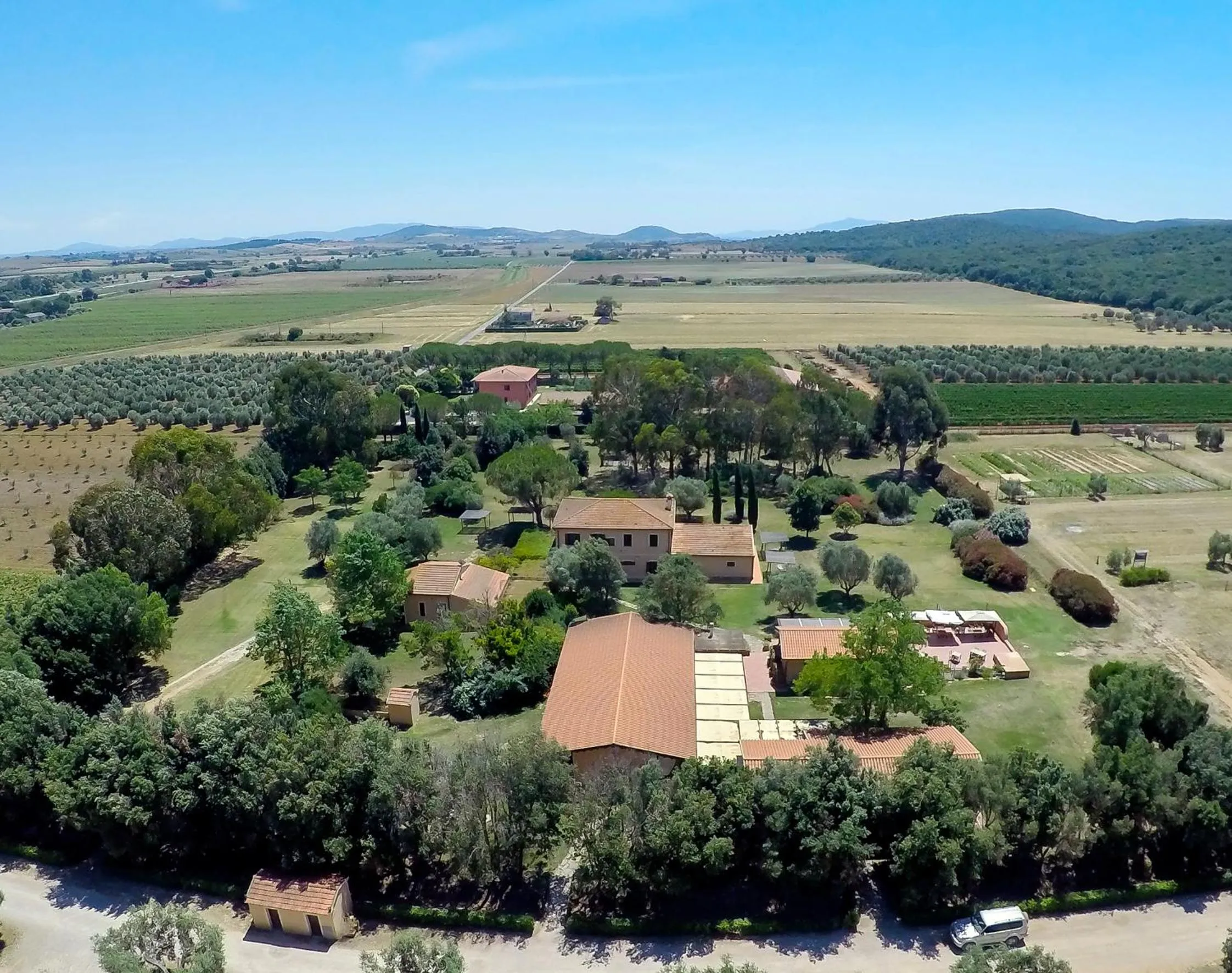 Bird's eye view in Tenuta Agricola dell'Uccellina