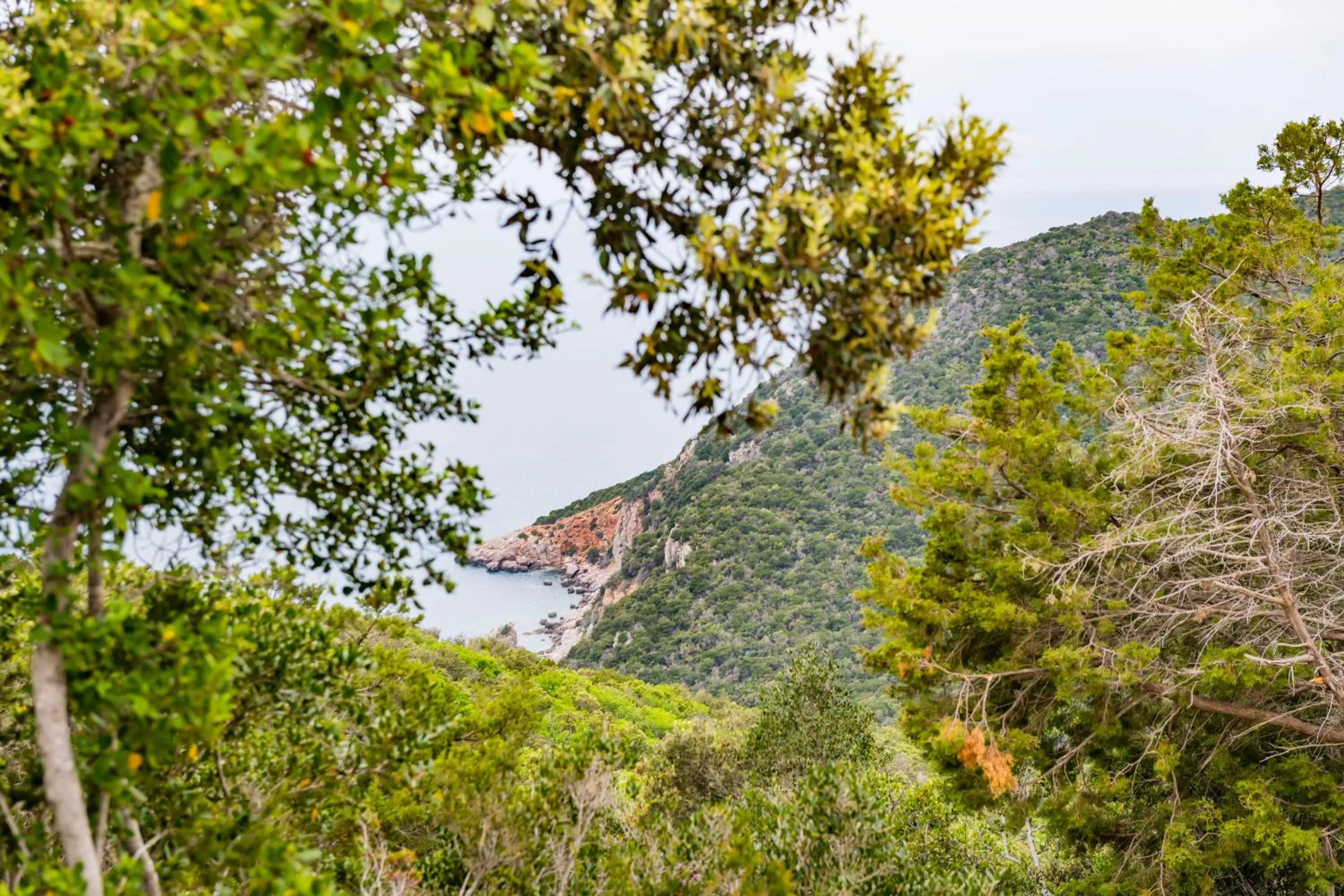 Natural landscape in Tenuta Agricola dell'Uccellina