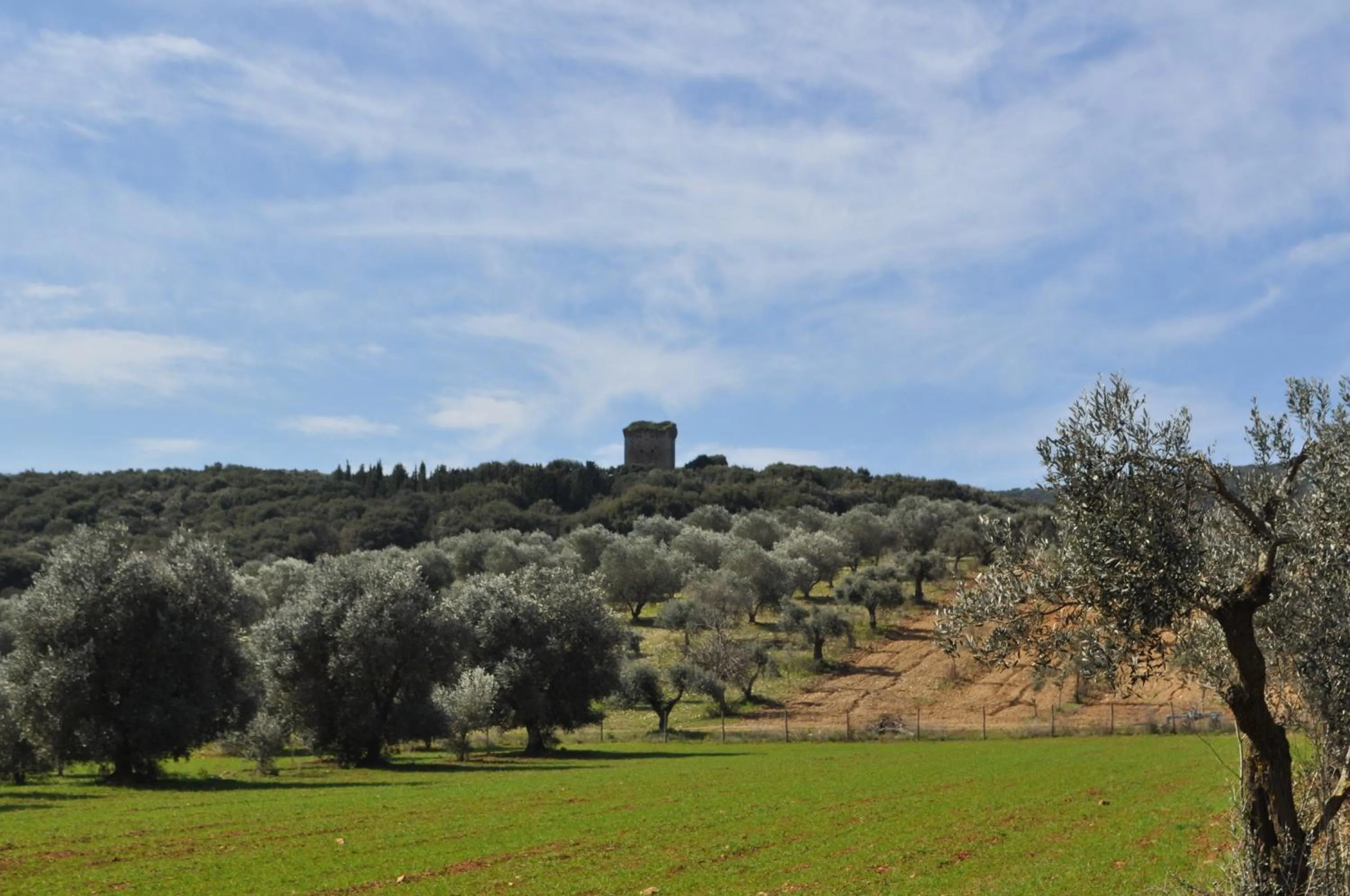 Spring in Tenuta Agricola dell'Uccellina
