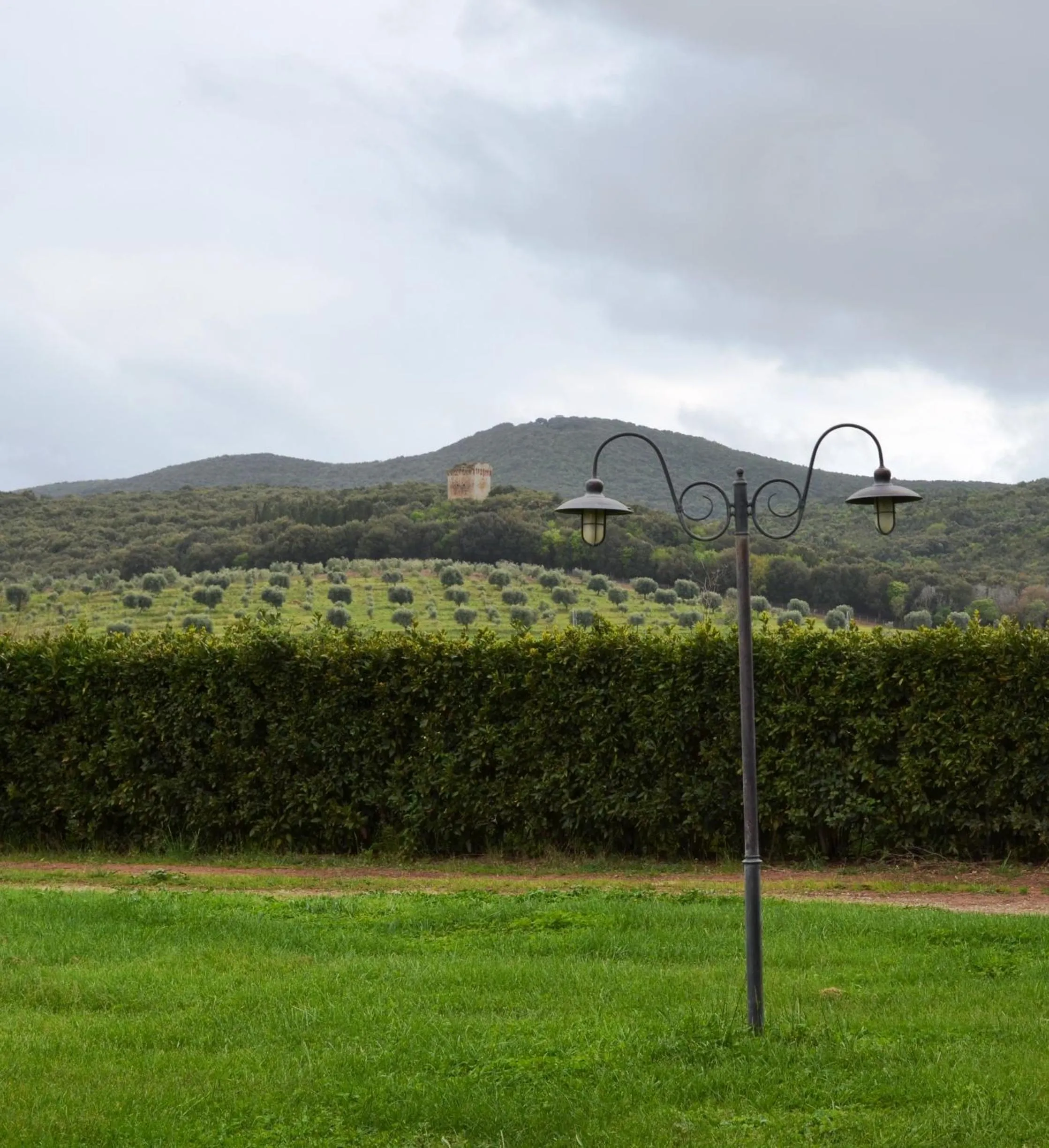 Spring in Tenuta Agricola dell'Uccellina