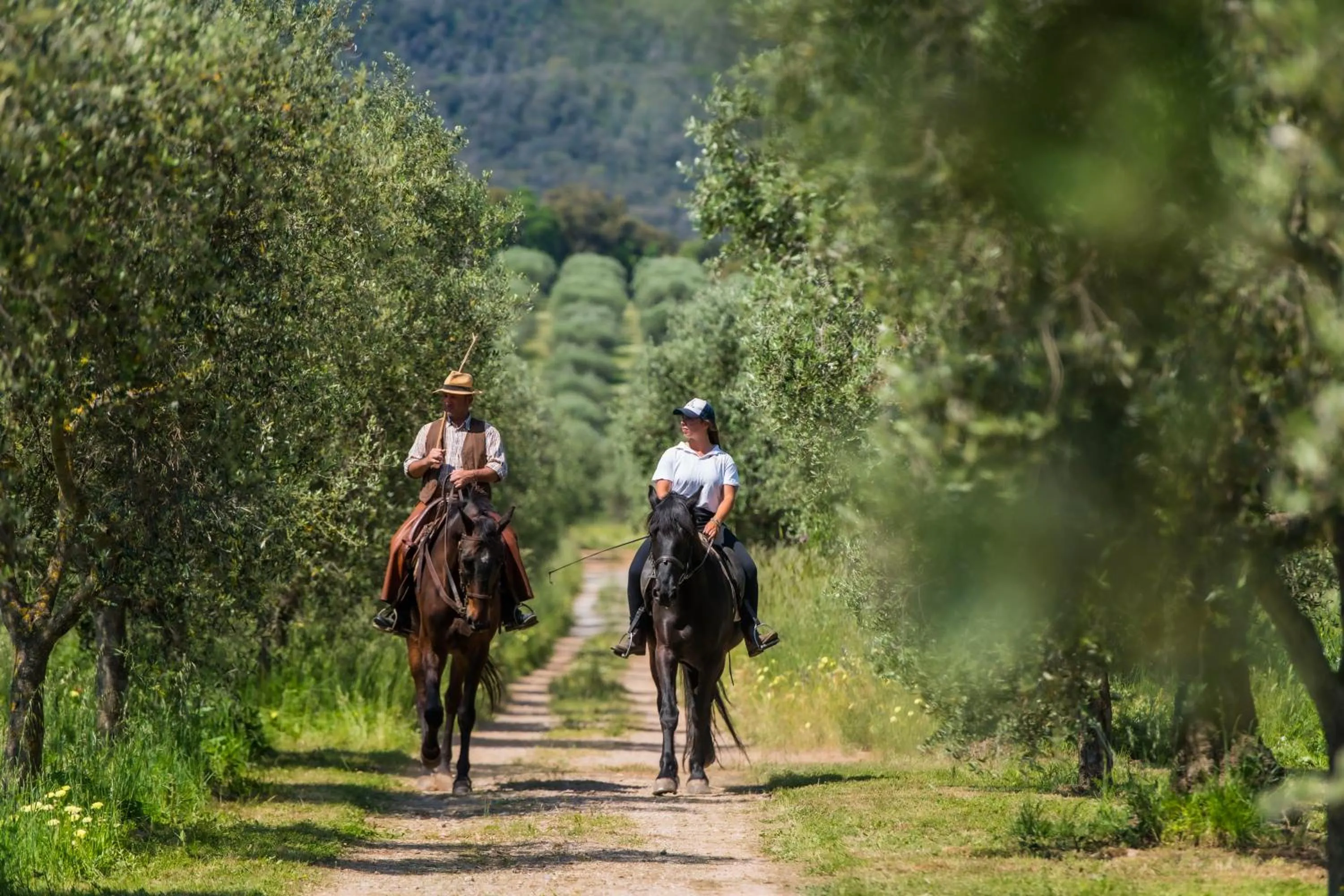 Natural landscape in Tenuta Agricola dell'Uccellina