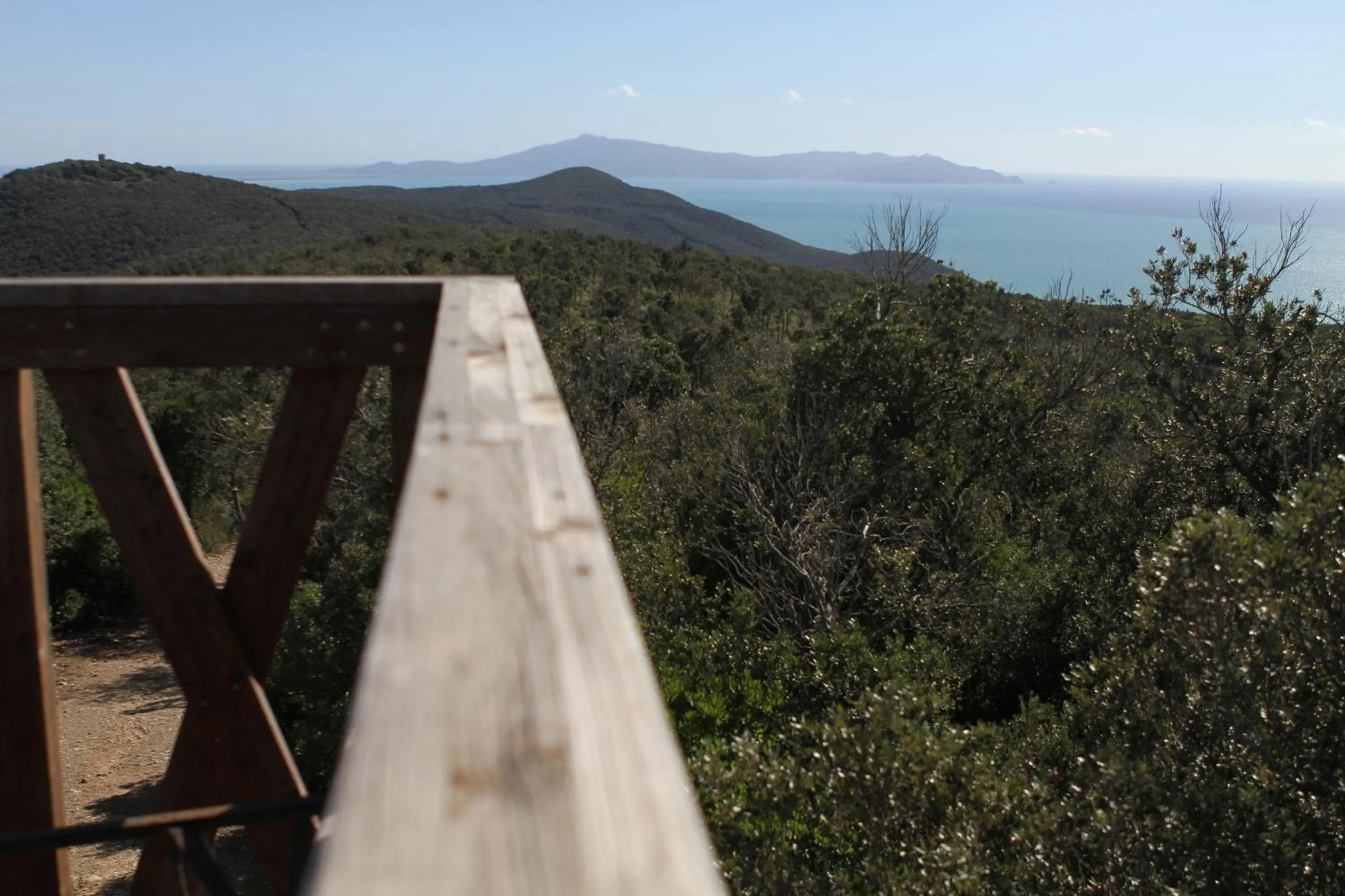 Natural landscape in Tenuta Agricola dell'Uccellina