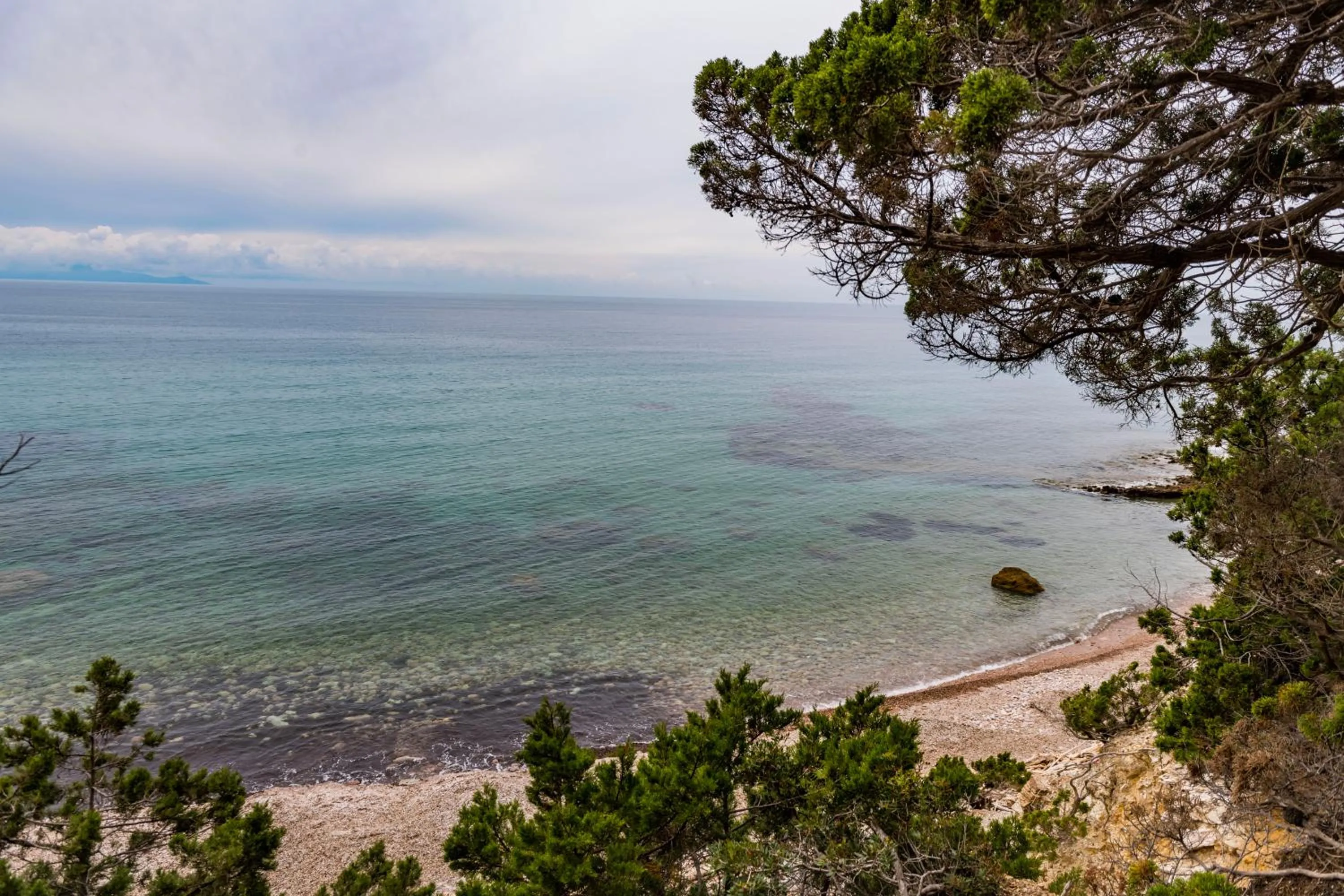 Natural landscape in Tenuta Agricola dell'Uccellina