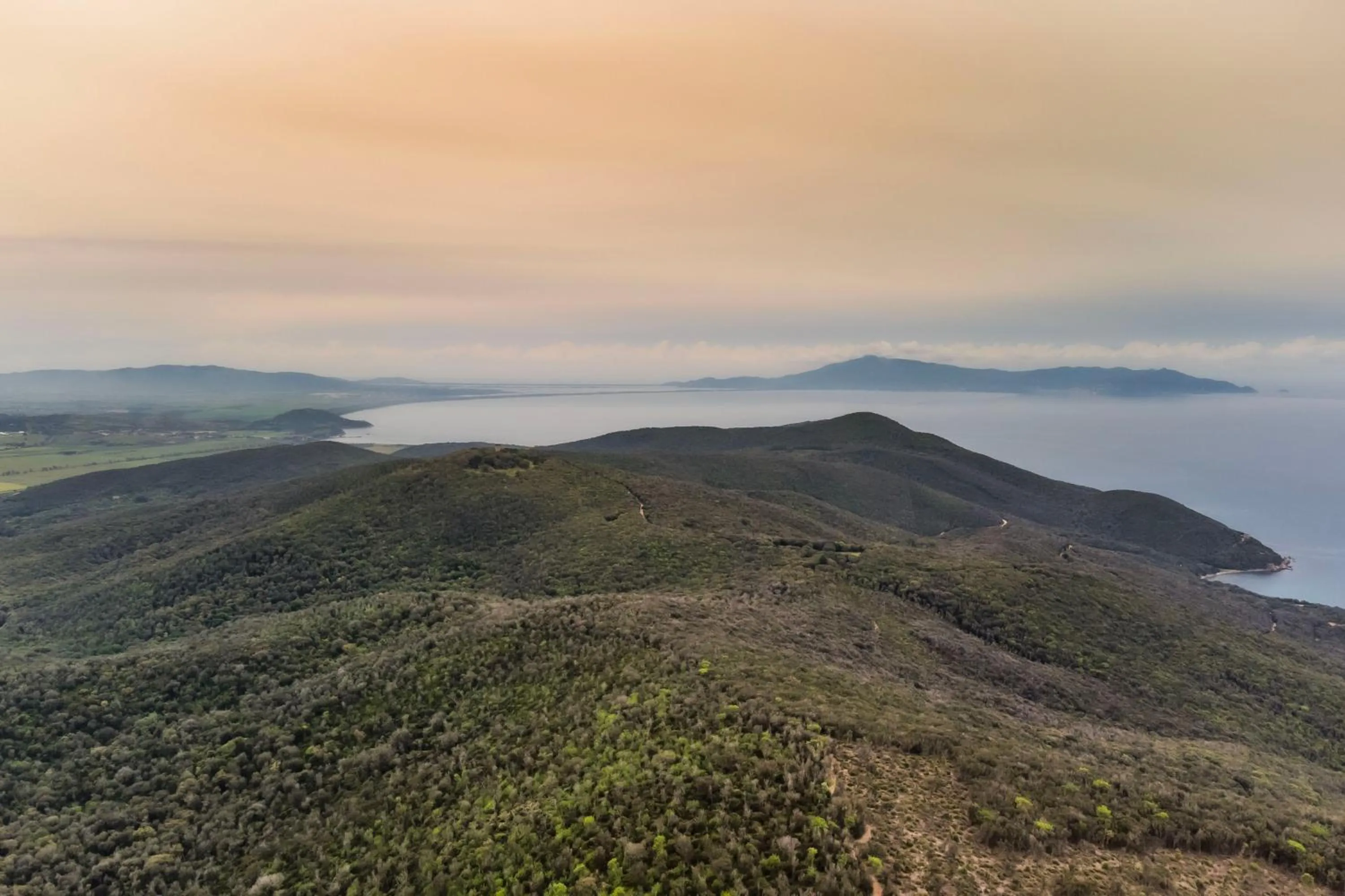 Natural landscape in Tenuta Agricola dell'Uccellina