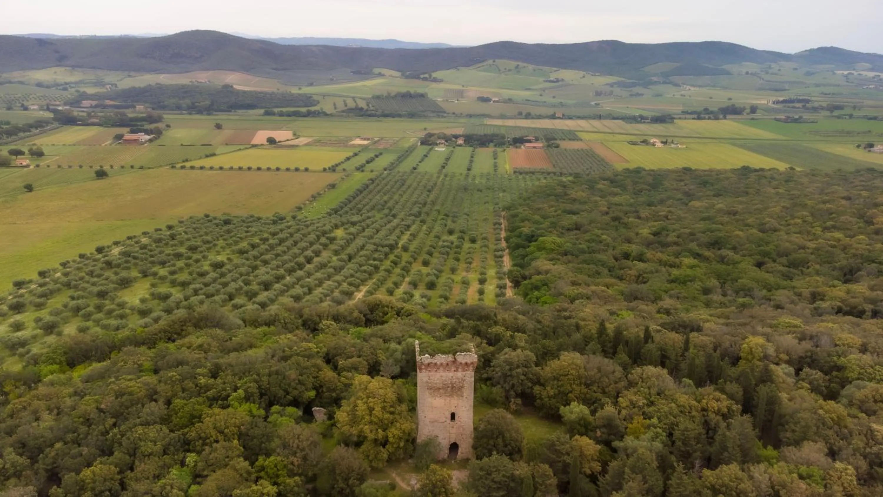 Natural landscape in Tenuta Agricola dell'Uccellina