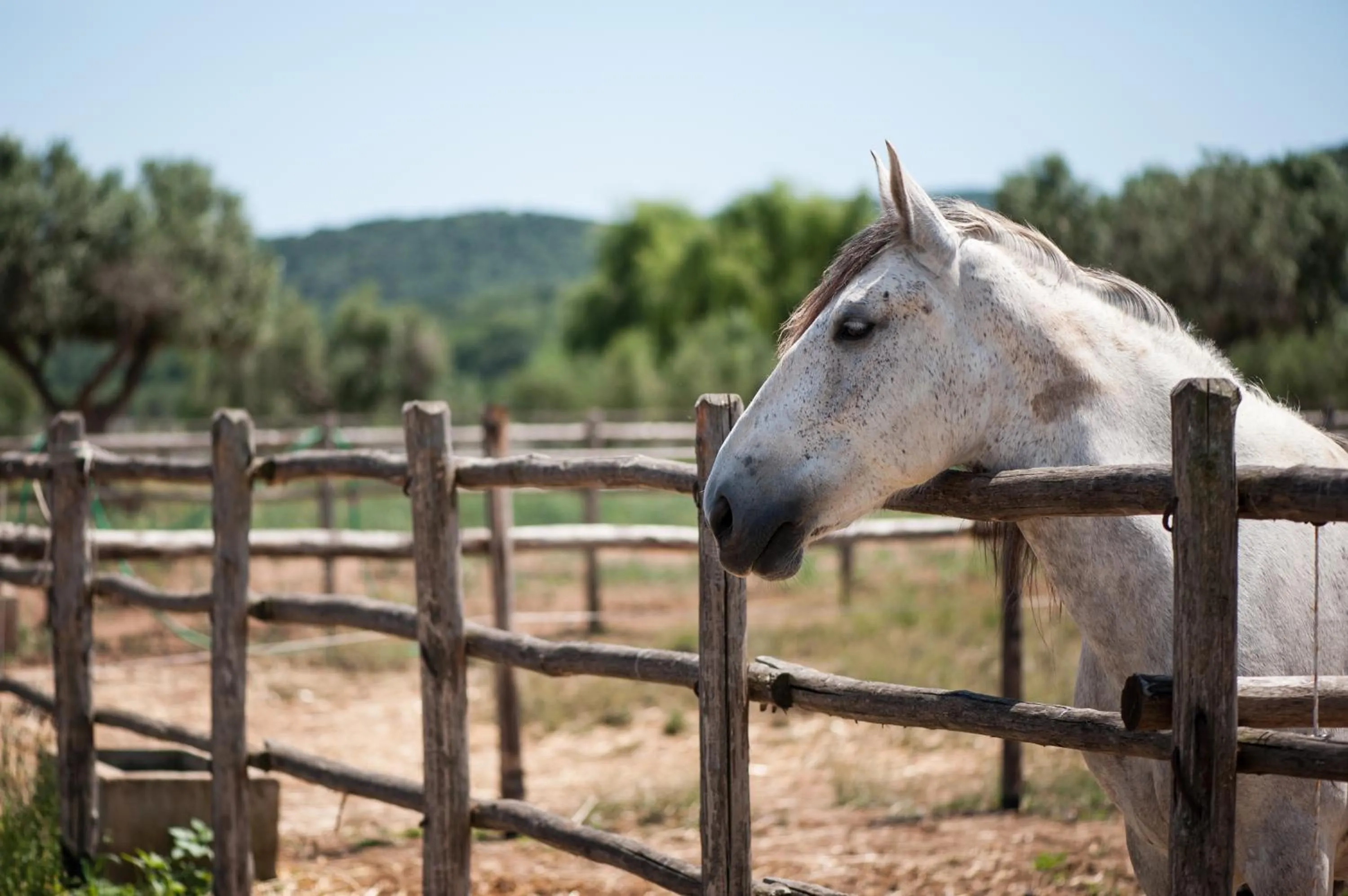 Horse-riding in Tenuta Agricola dell'Uccellina