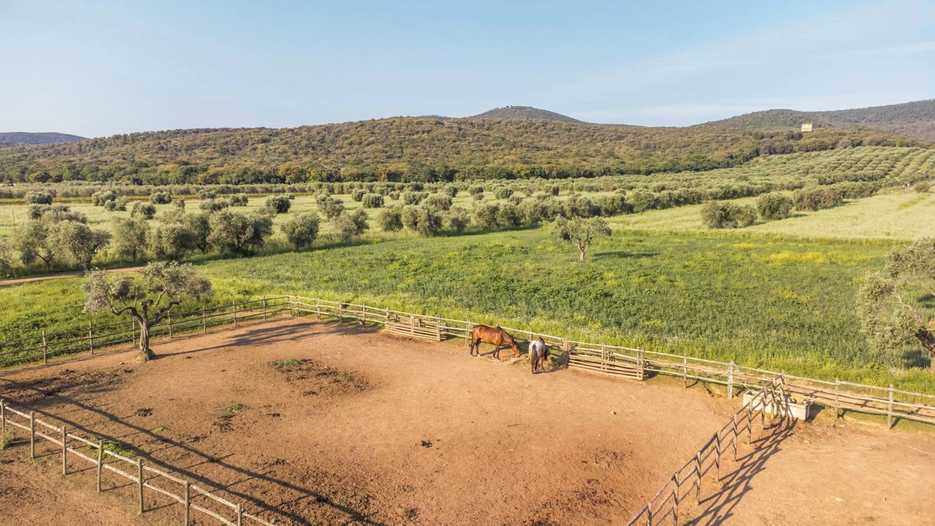Natural landscape in Tenuta Agricola dell'Uccellina