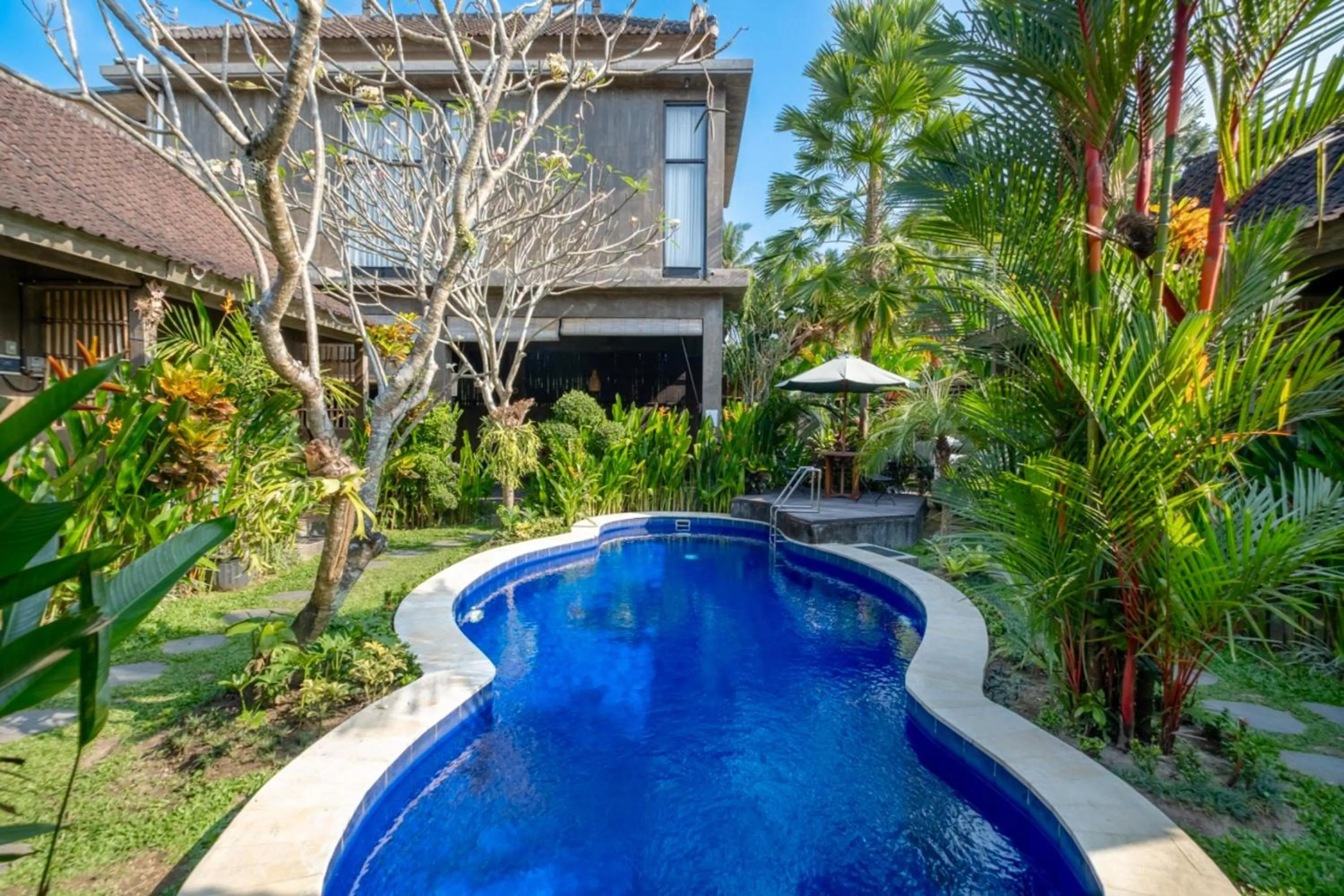 Swimming pool in Elemento Homestay Badung