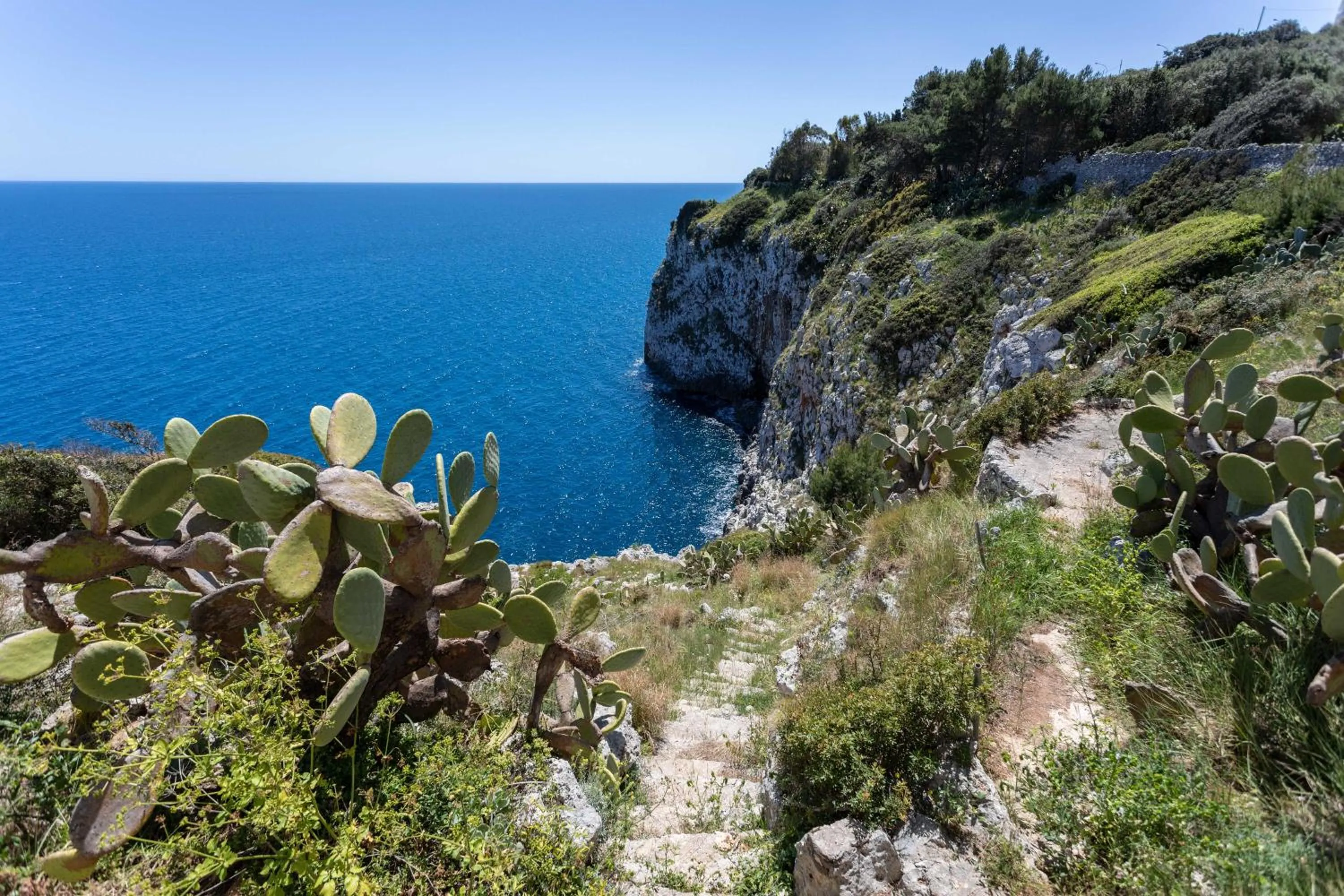 Il Posto delle Fragole