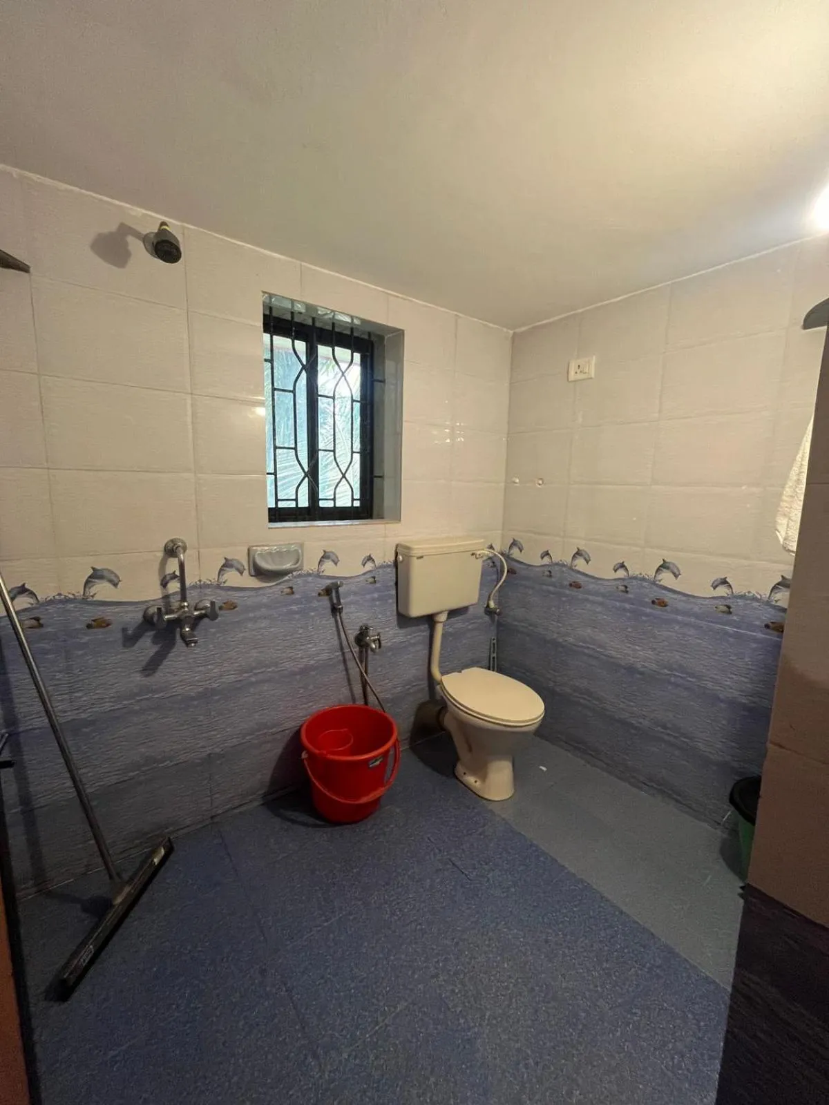 Toilet in Tranquilo Arambol