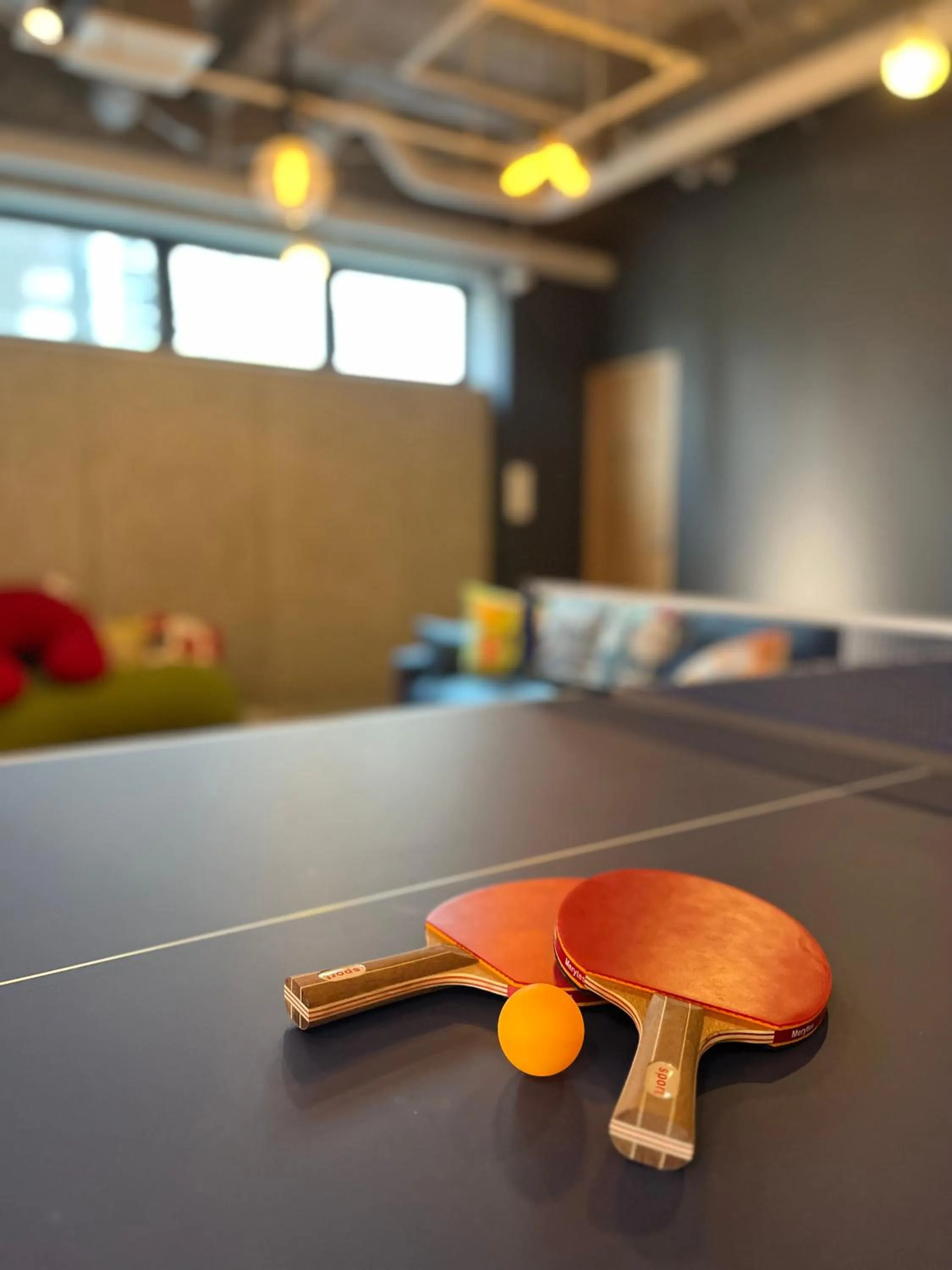 Table tennis in WISE OWL HOSTELS SAPPORO