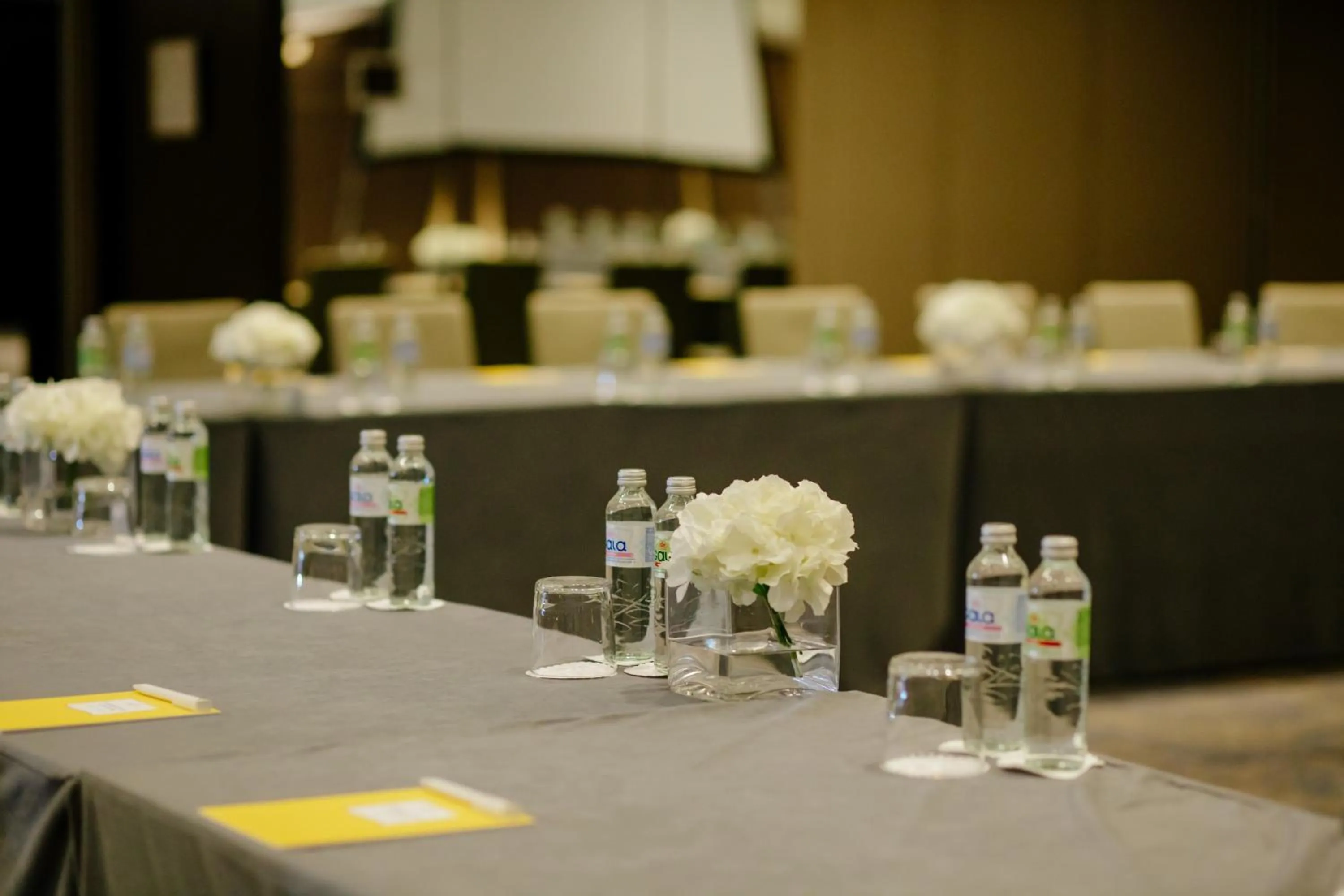 Meeting/conference room in Crowne Plaza Belgrade by IHG