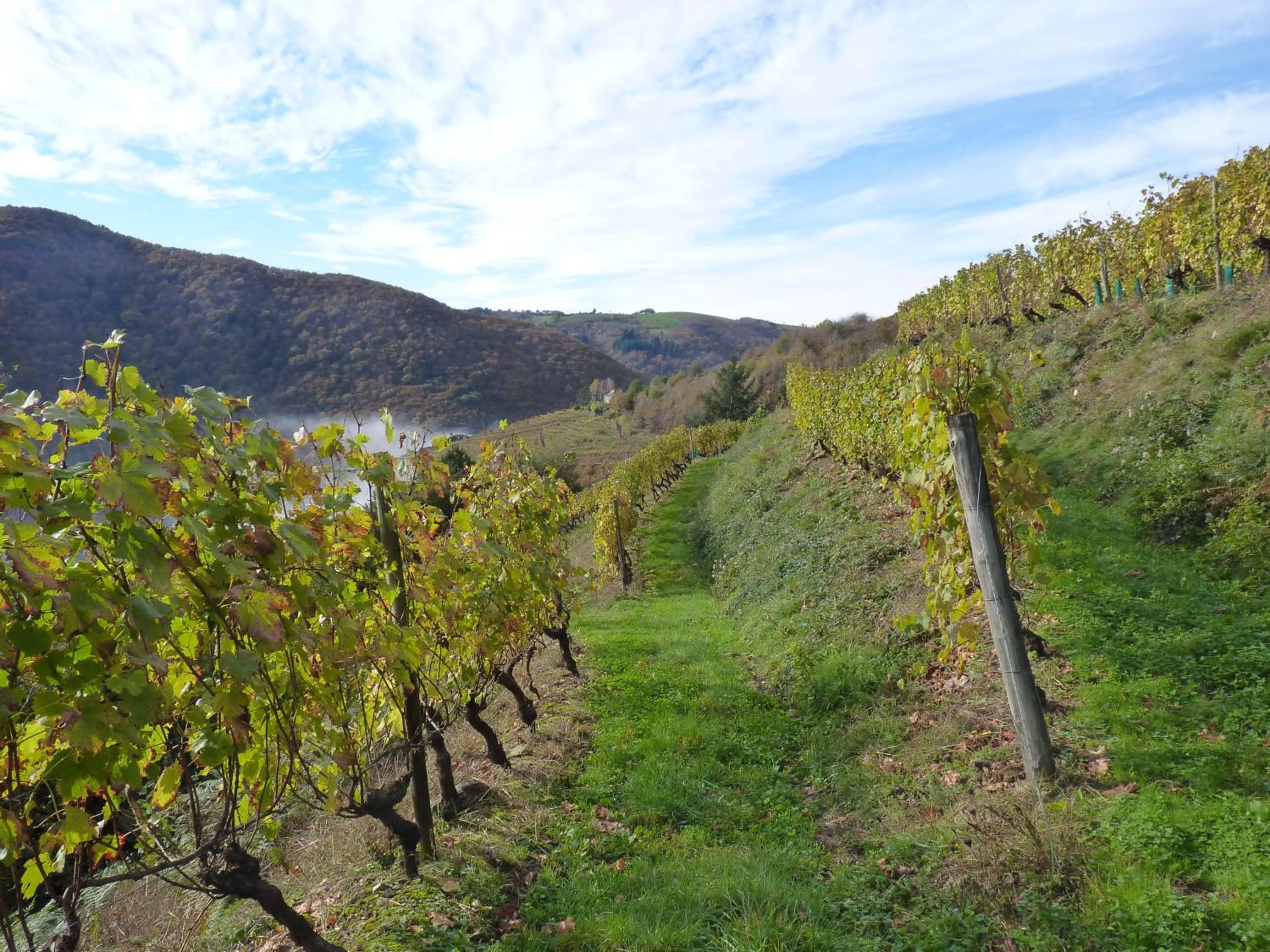 Autumn in Chambres d'hôtes - Domaine de la Grangeotte