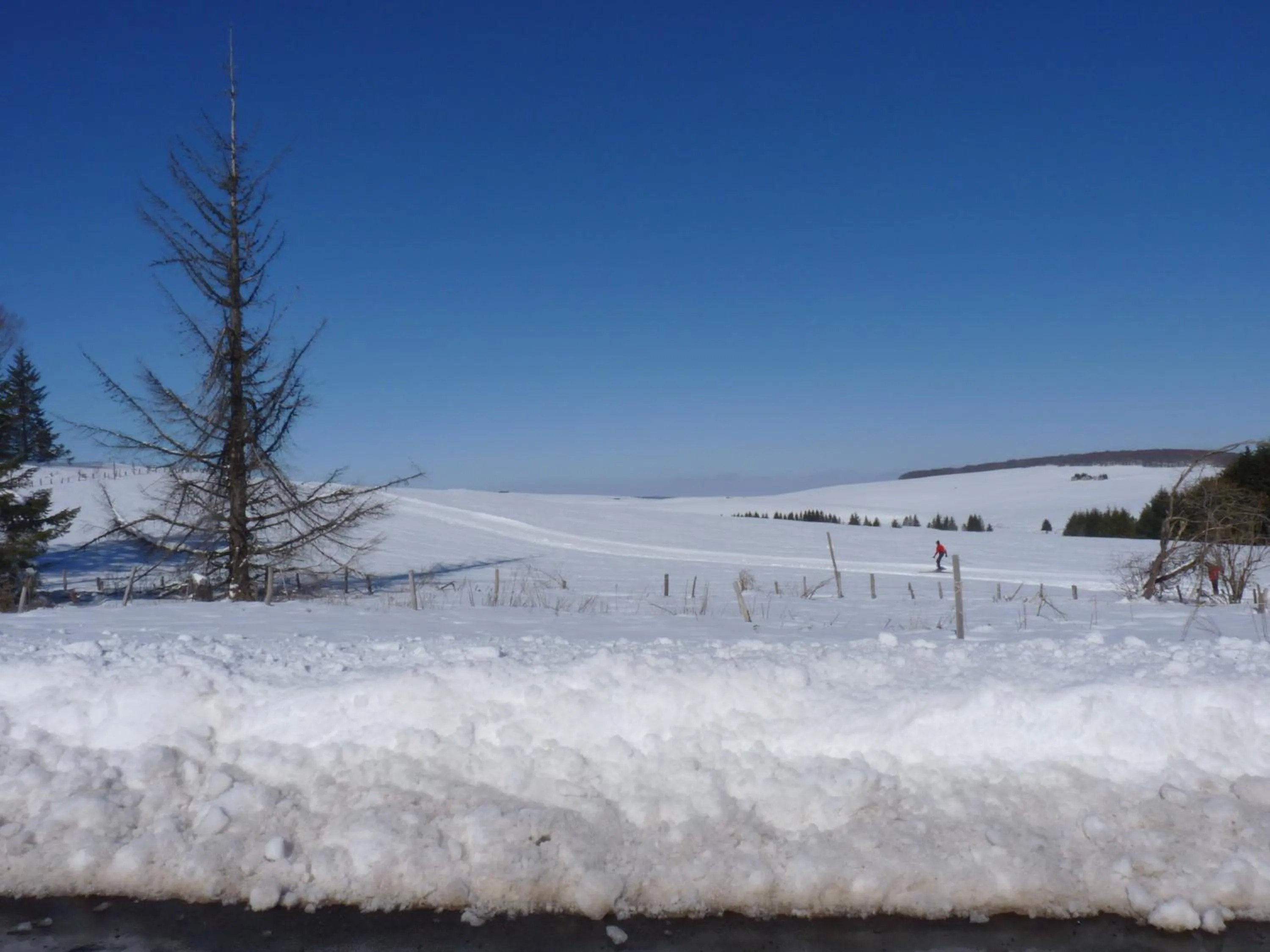 Skiing in Chambres d'hôtes - Domaine de la Grangeotte