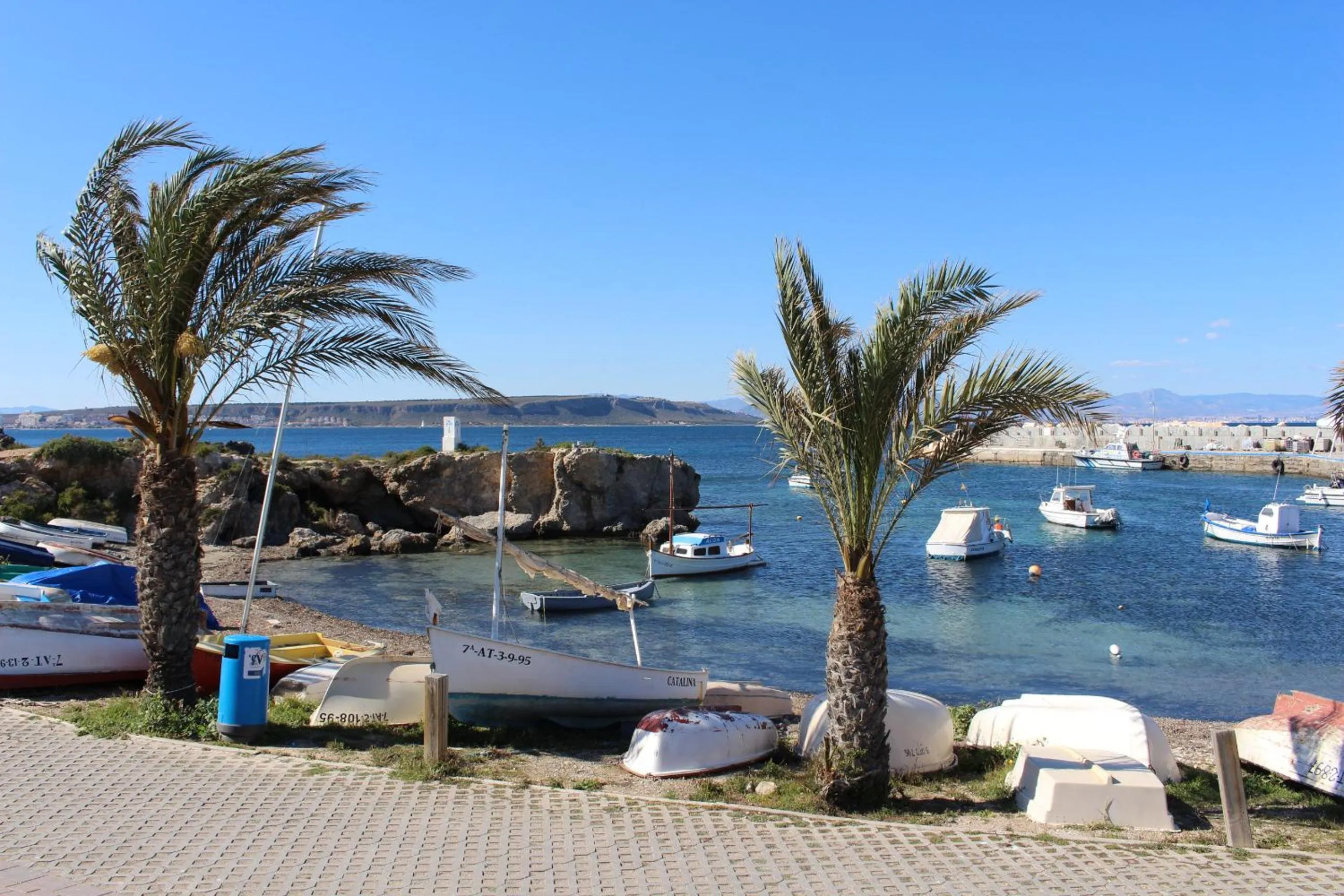 Beach in HOTEL ISLA PLANA