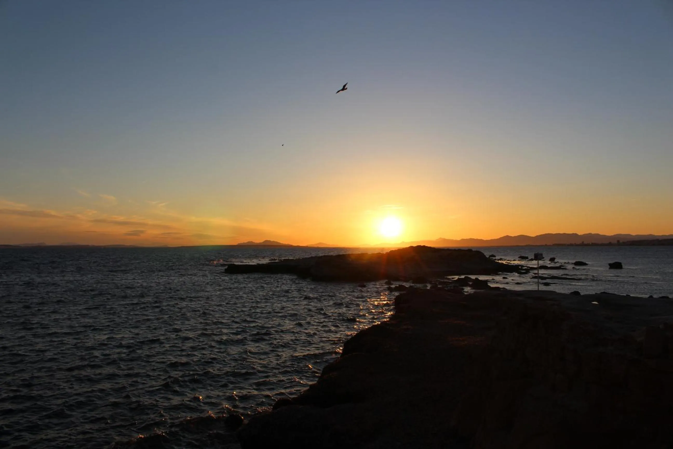 Area and facilities in HOTEL ISLA PLANA