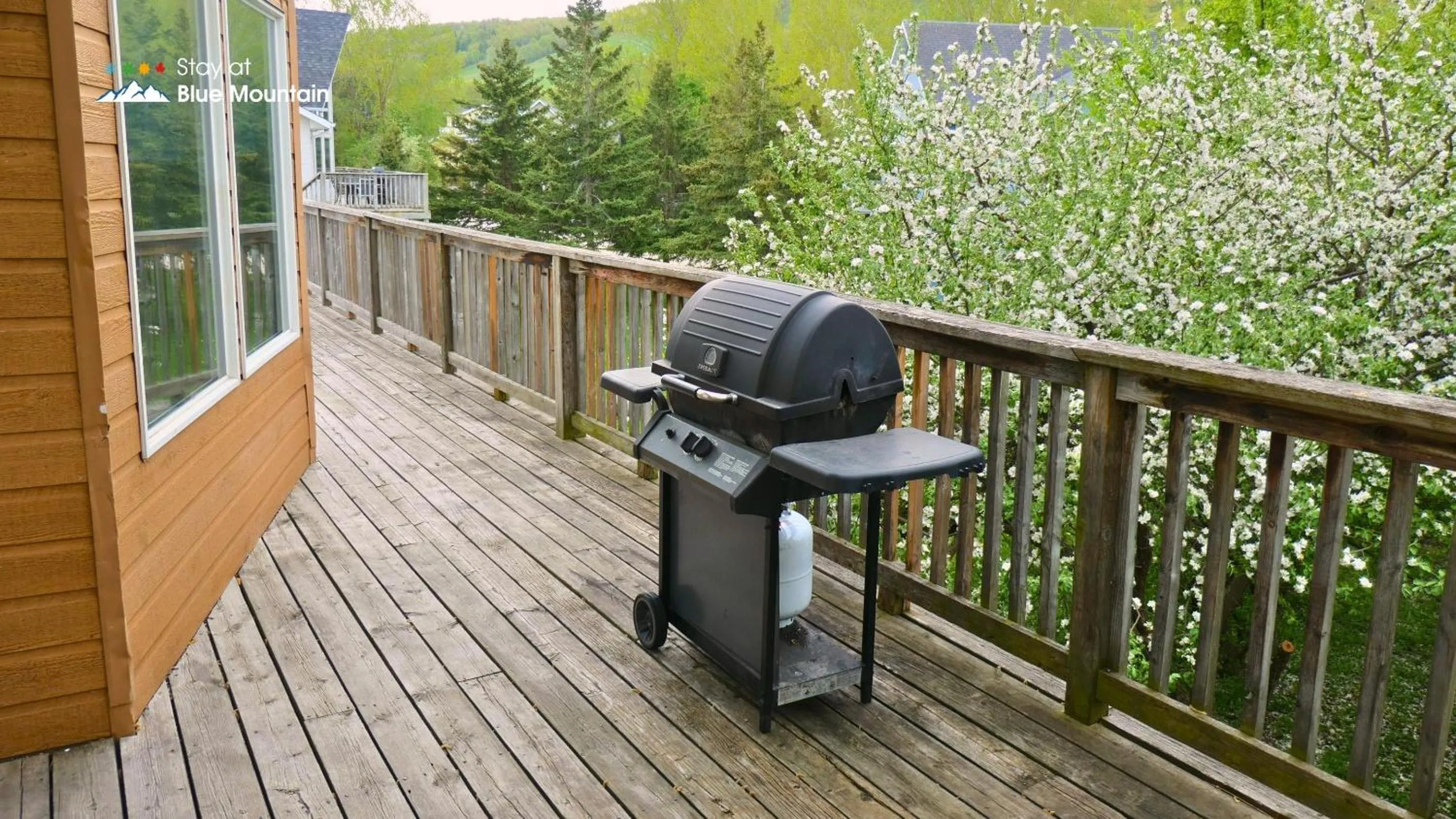 BBQ facilities in Summit Ridge 1