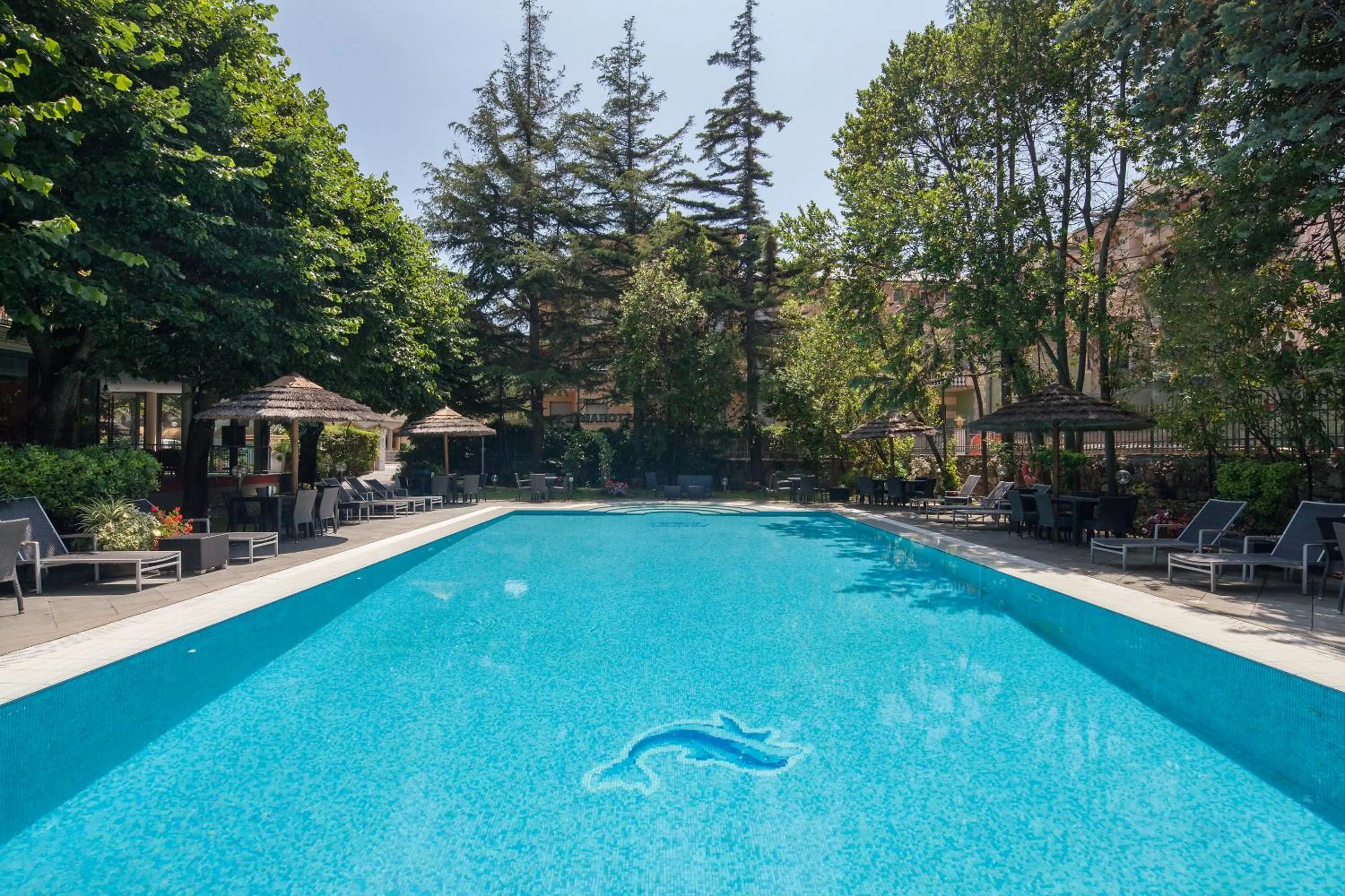 Pool view in Hotel Clelia
