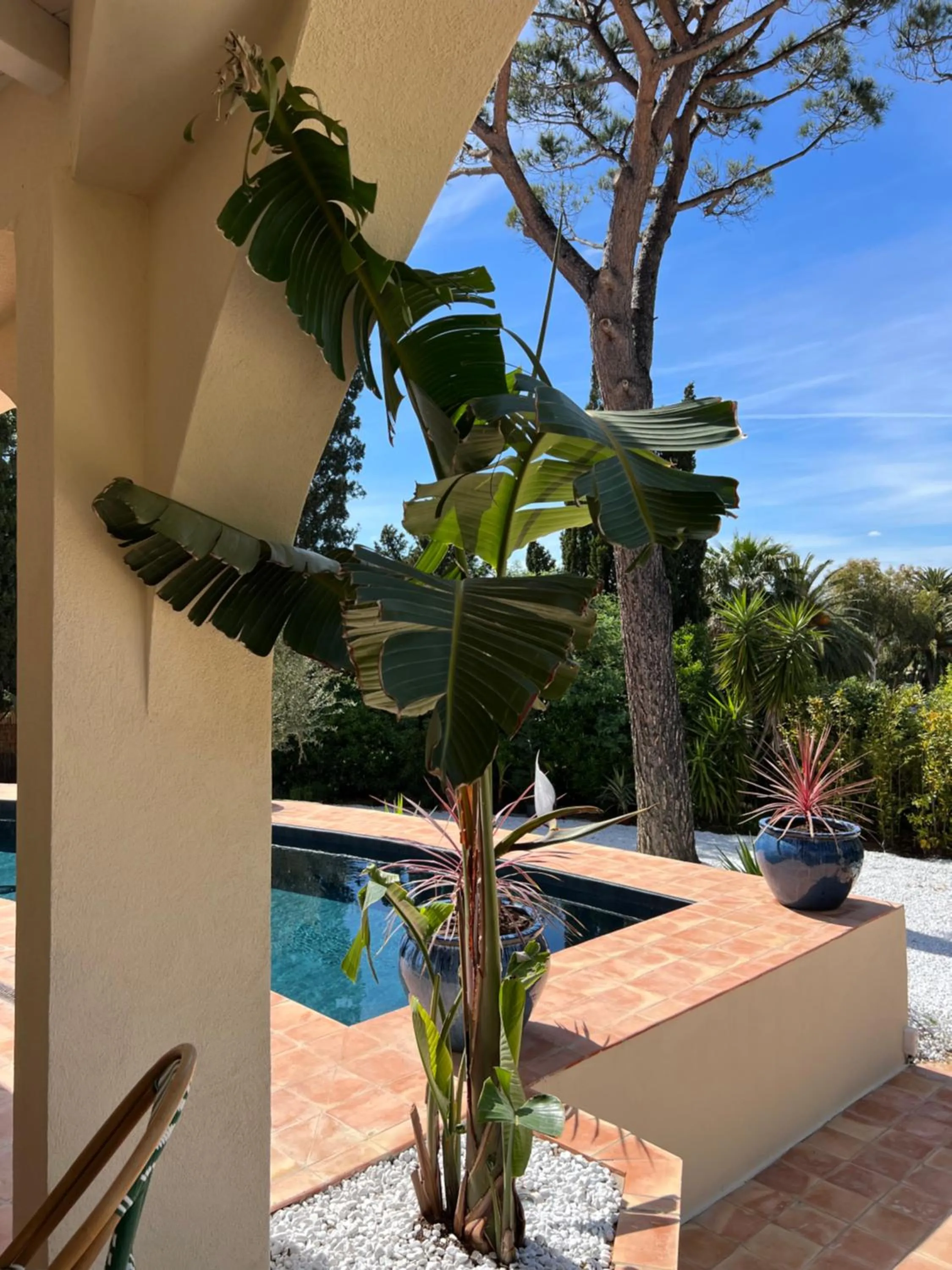 Maison d'Orange - La Pinede