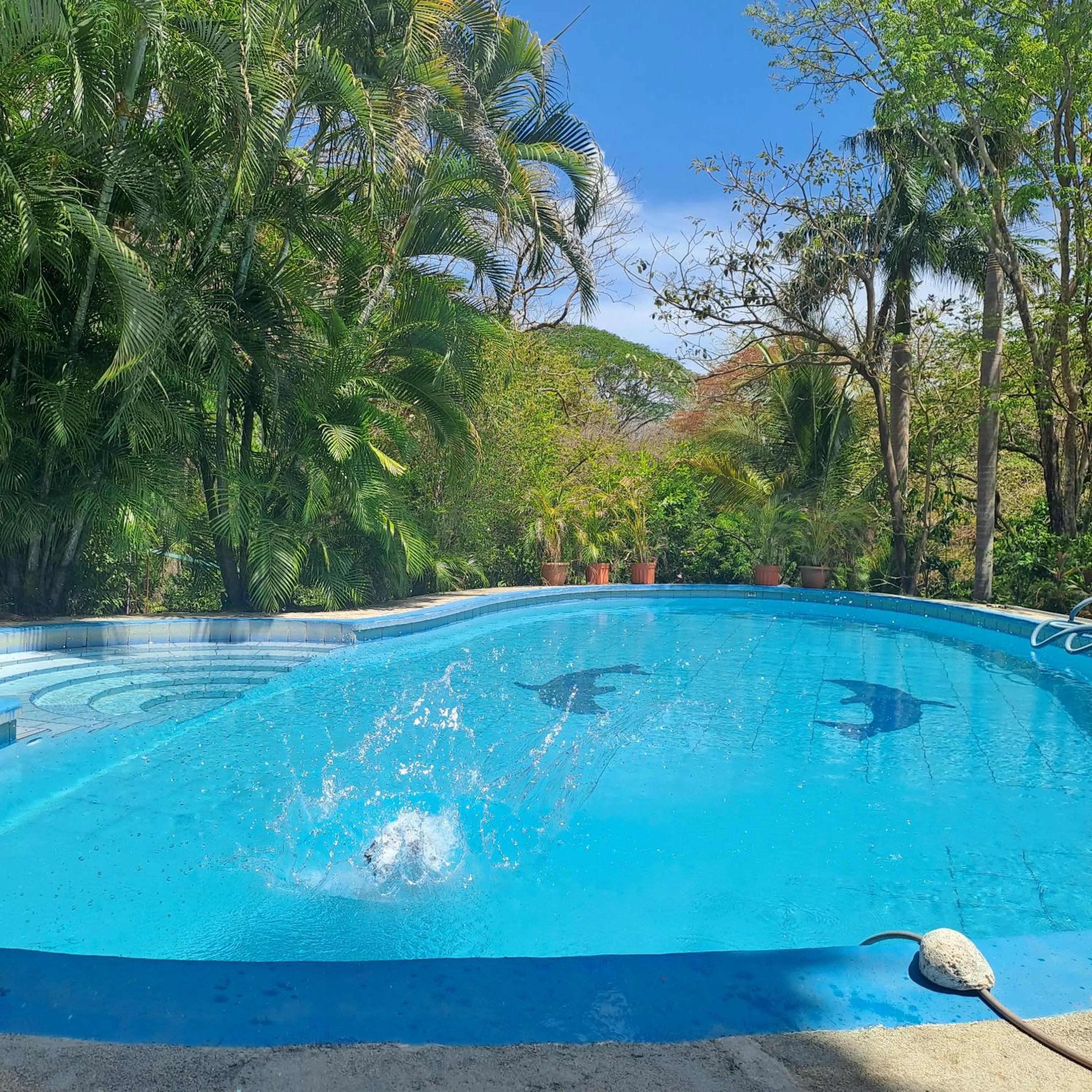 Swimming pool in Georgi, Junquillal