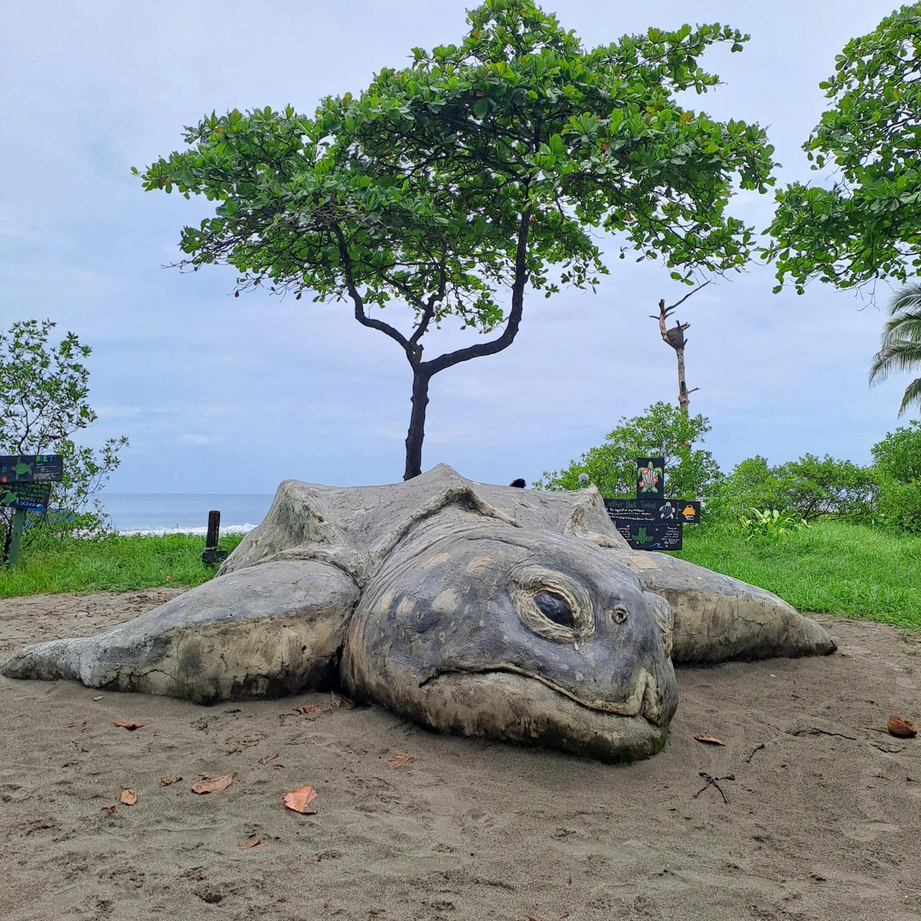 Natural landscape in Georgi, Junquillal