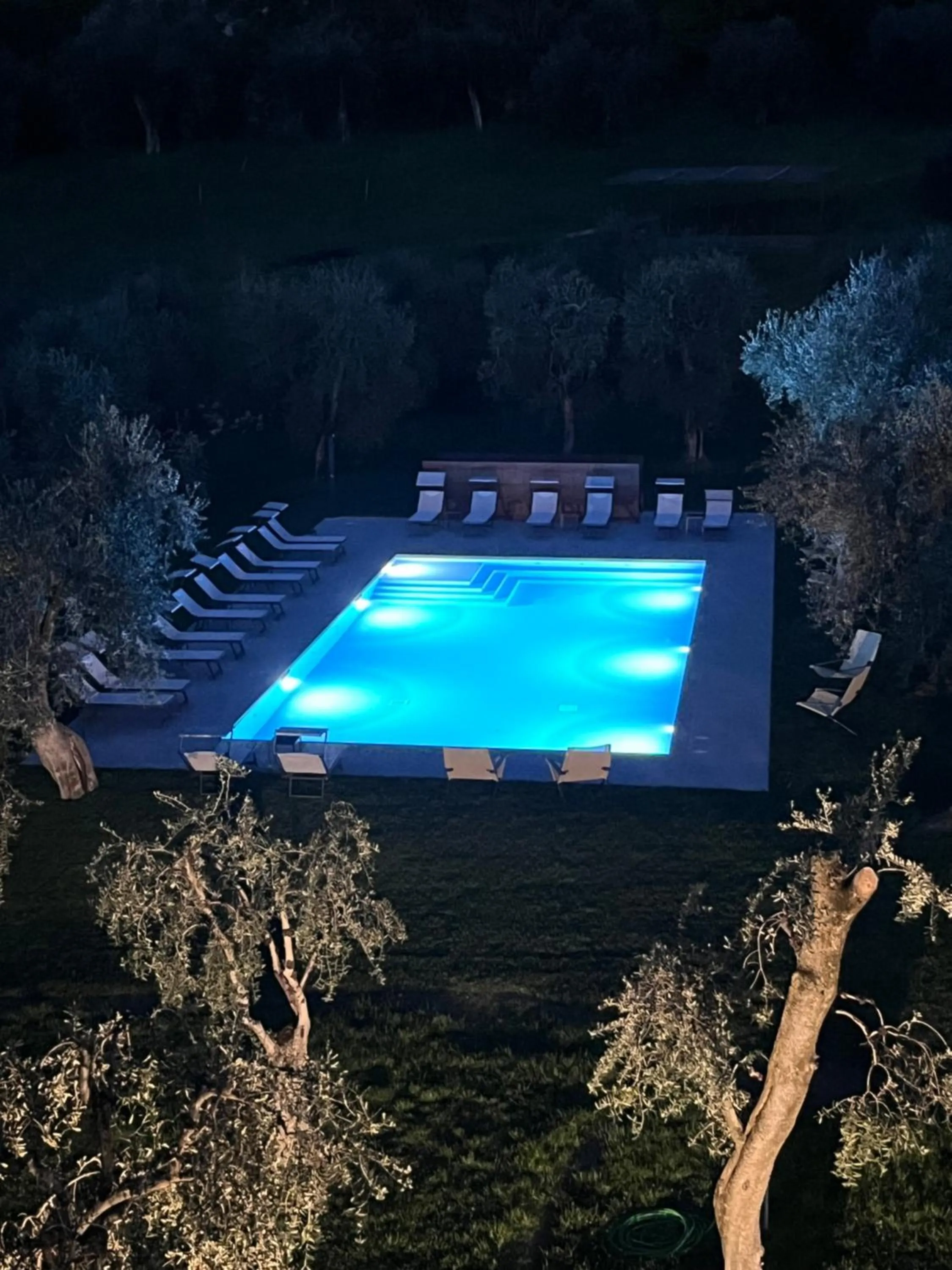 Swimming pool in Hotel Garnì Orchidea