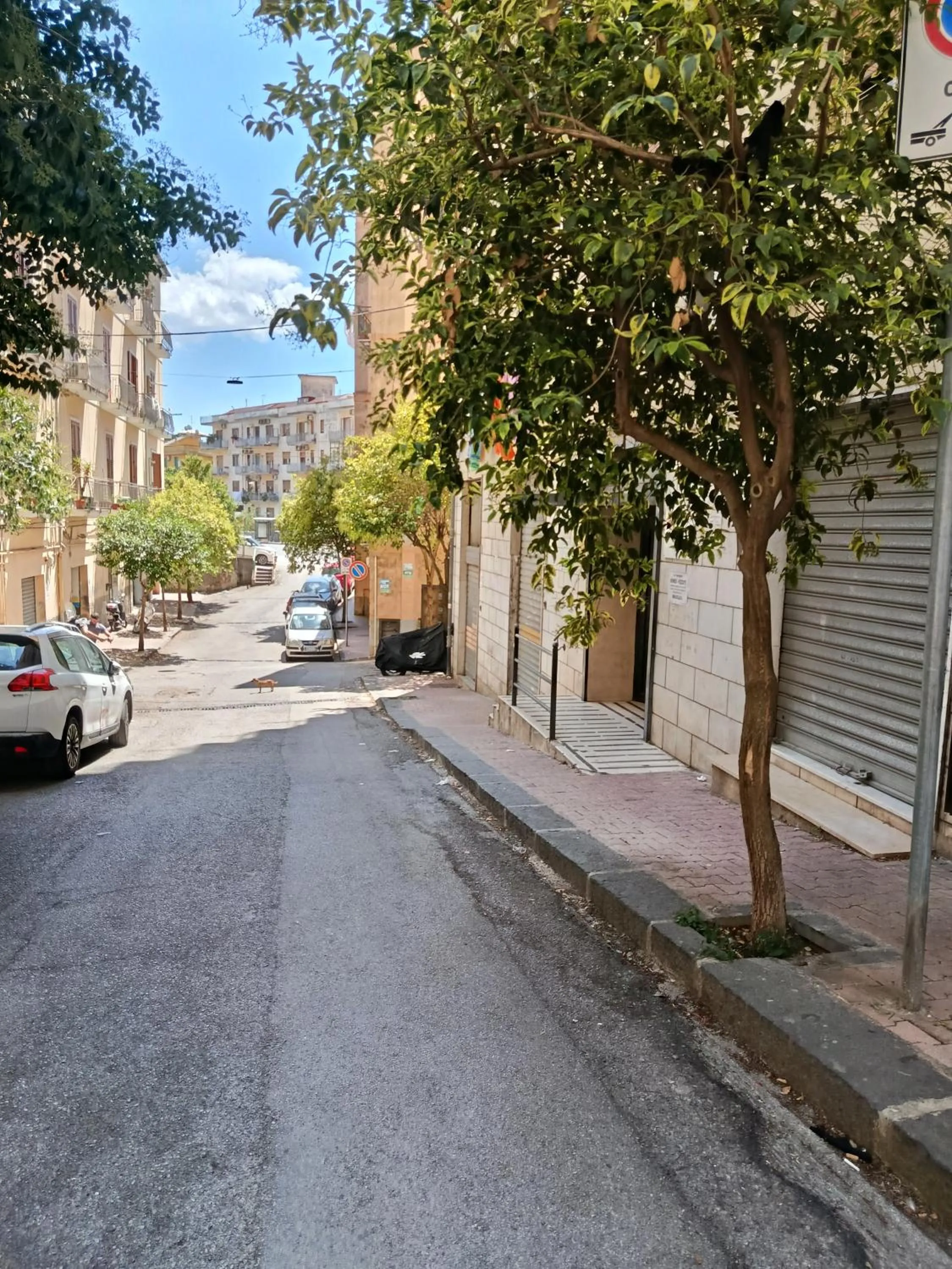 Neighbourhood in Salerno Eremita Apartment