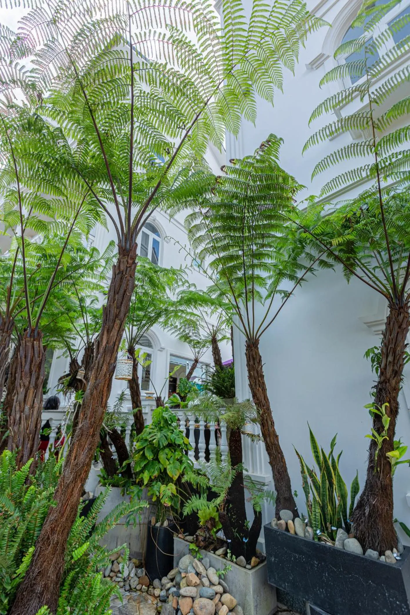 Neighbourhood in SHIN VILLAGE HOTEL