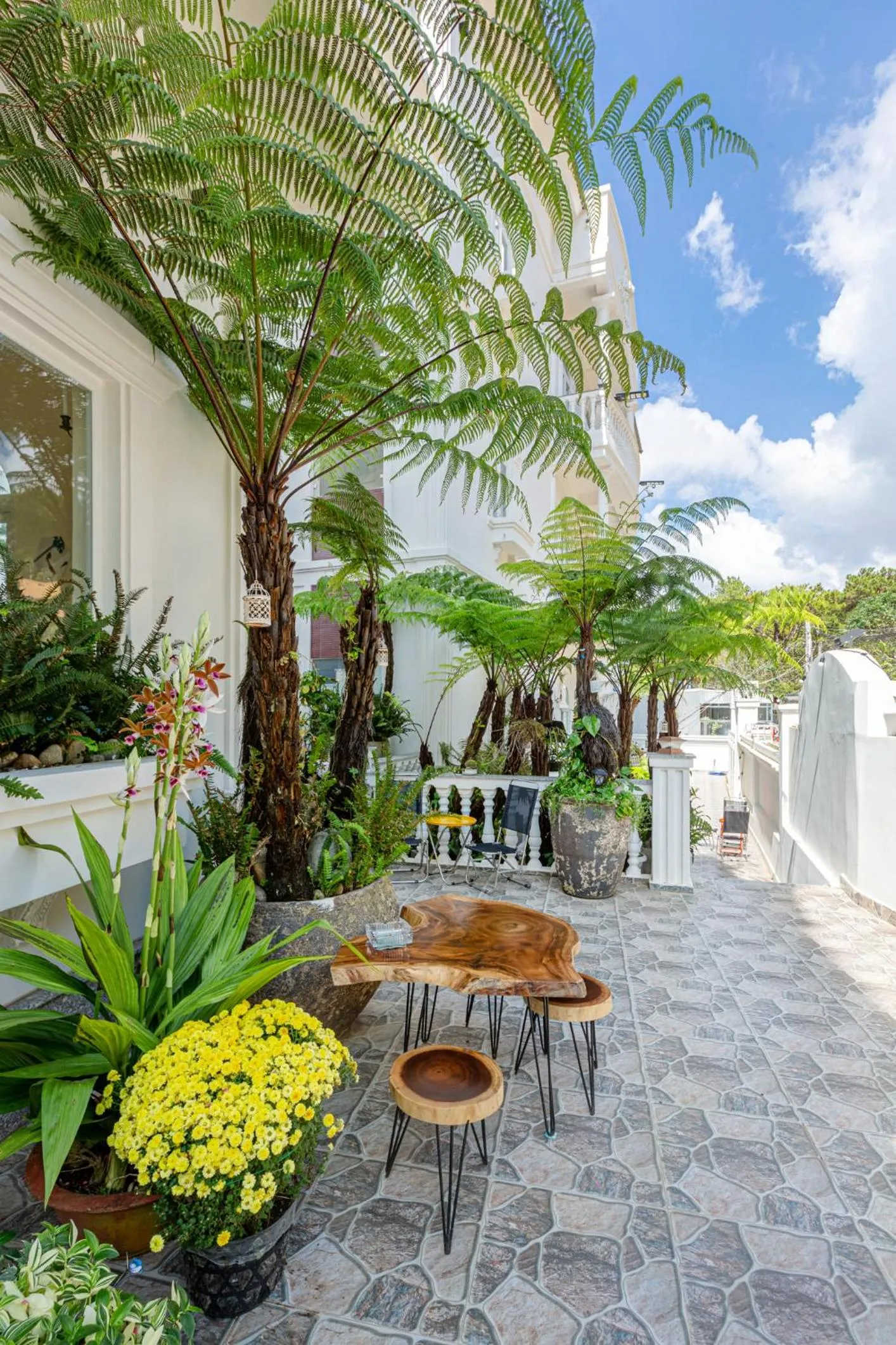 Patio in SHIN VILLAGE HOTEL